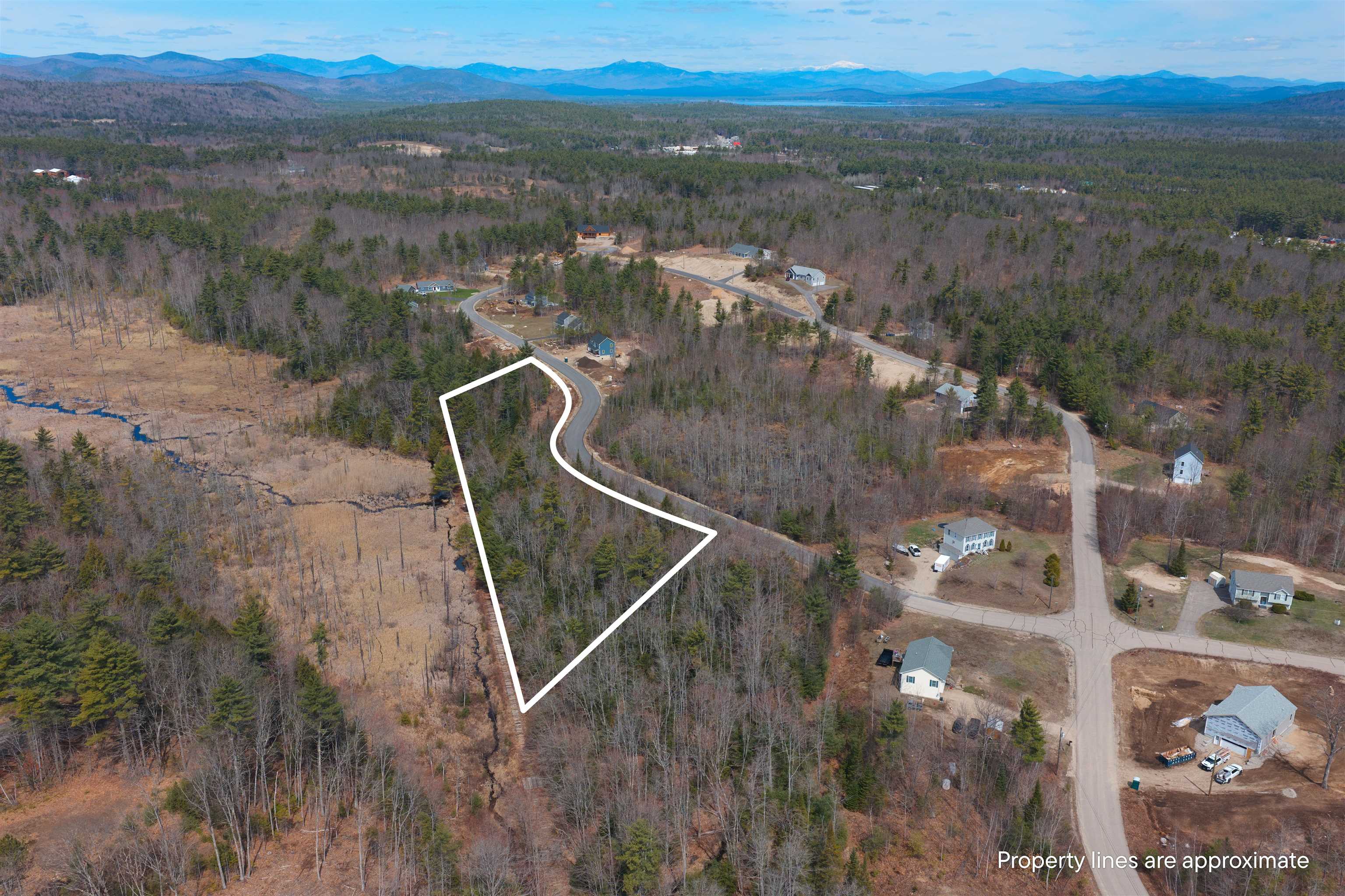 3 Wellington Ct, Ossipee, NH 03864