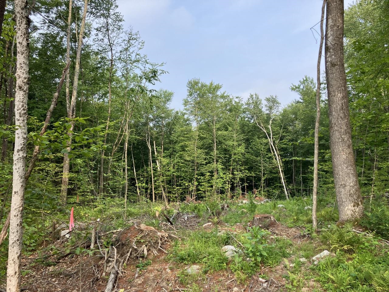 Permitted for 4-bedroom septic