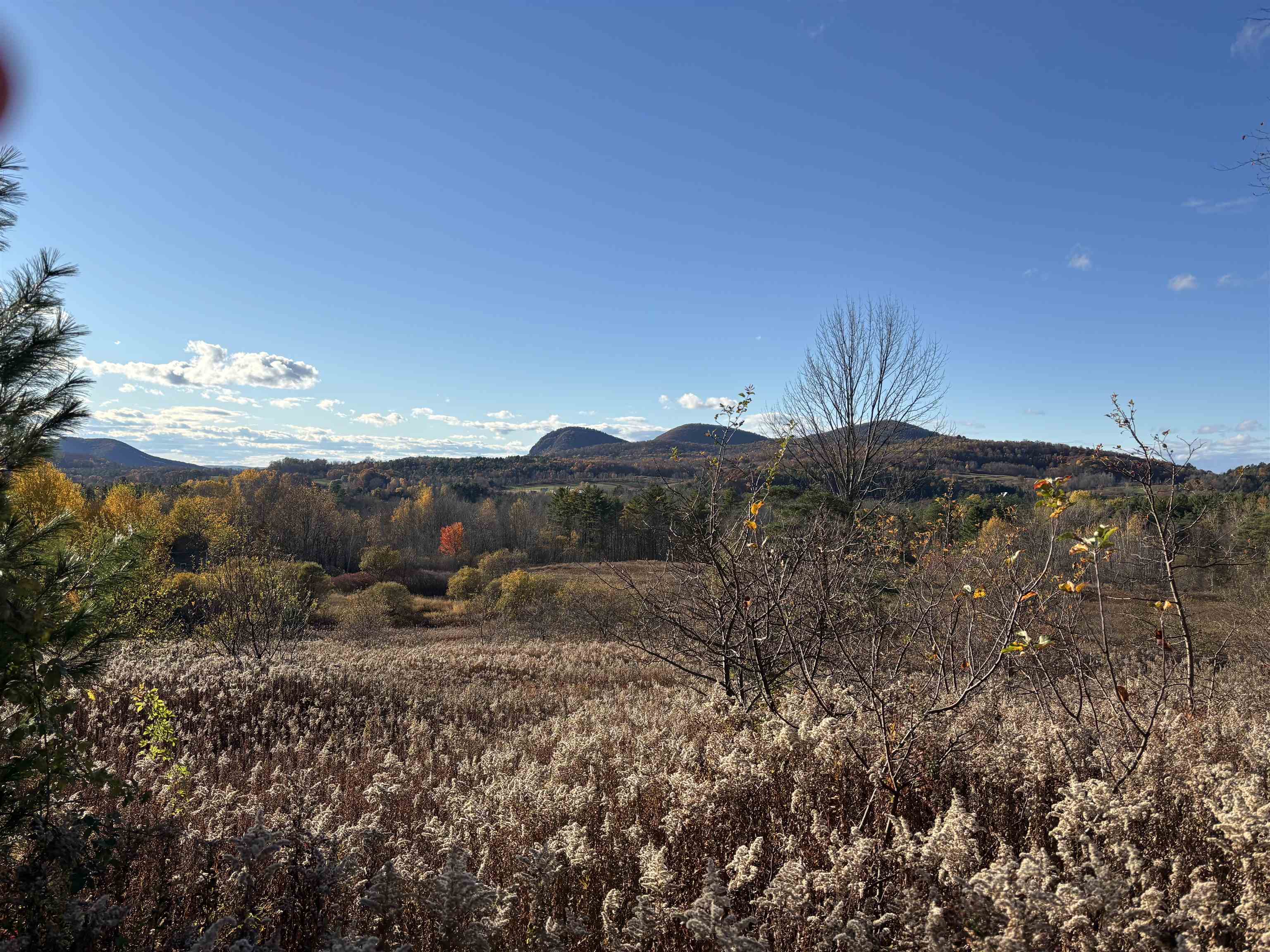 Property photo 45