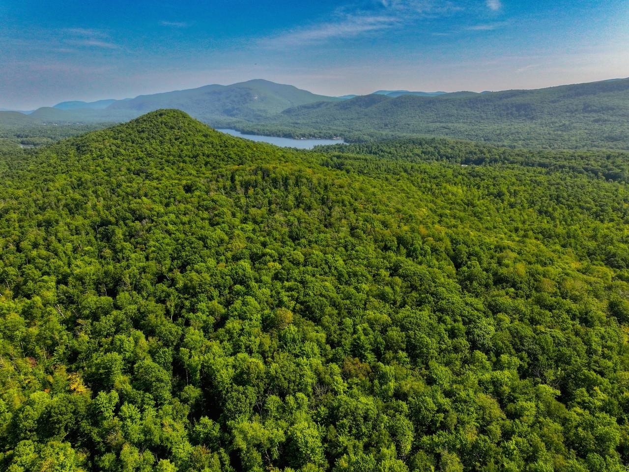 A one-of-a-kind offering!