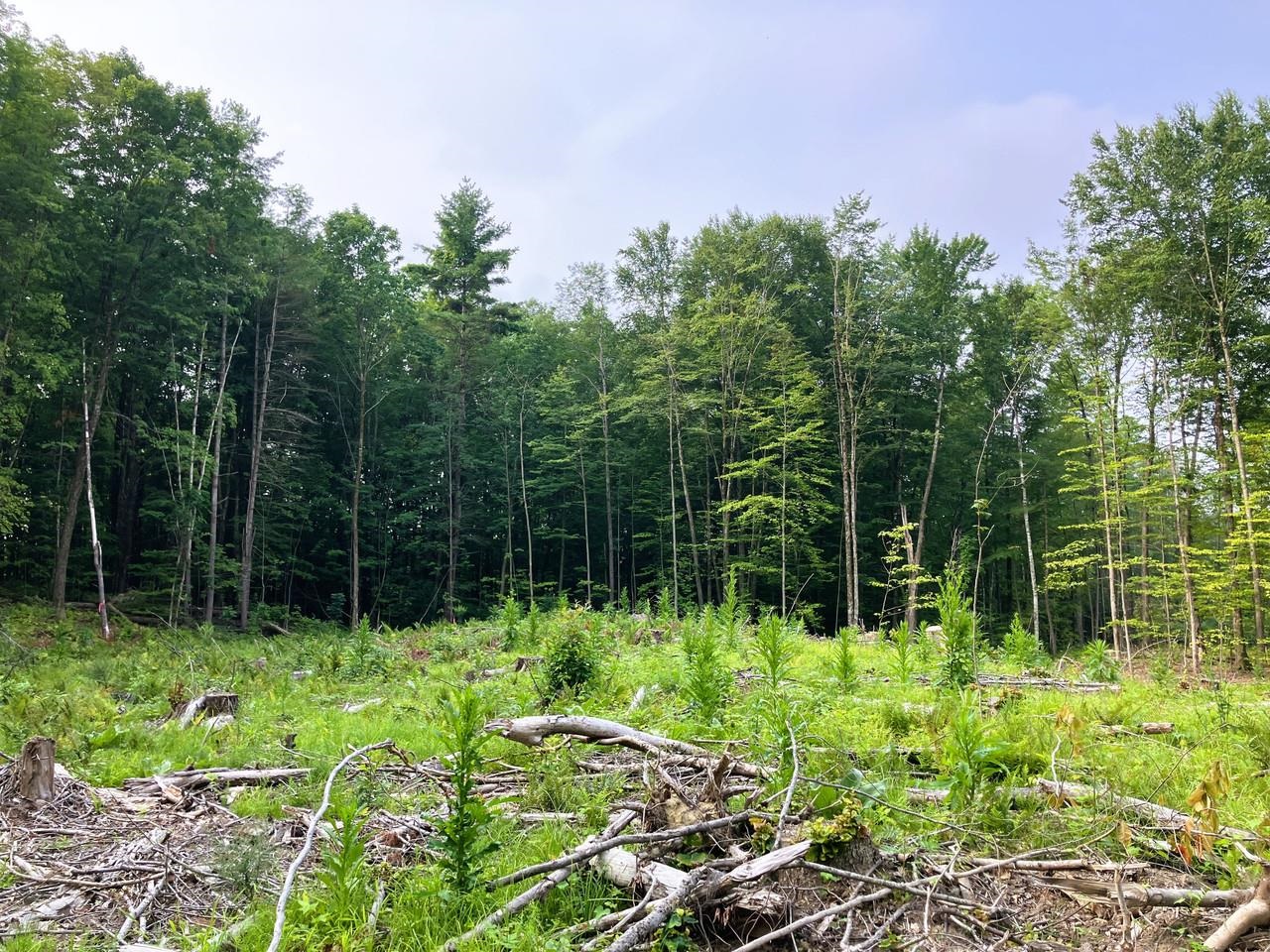 Leicester VT&nbsp;Land for sale $$160,000 | 2.89 Acres  | Price Per Acre $0  | Total Lots 10