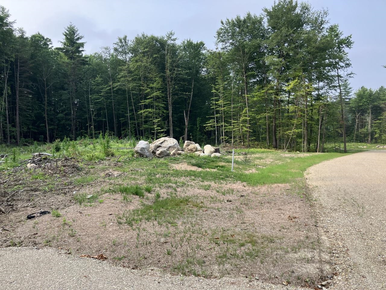 Southern & westerly exposure