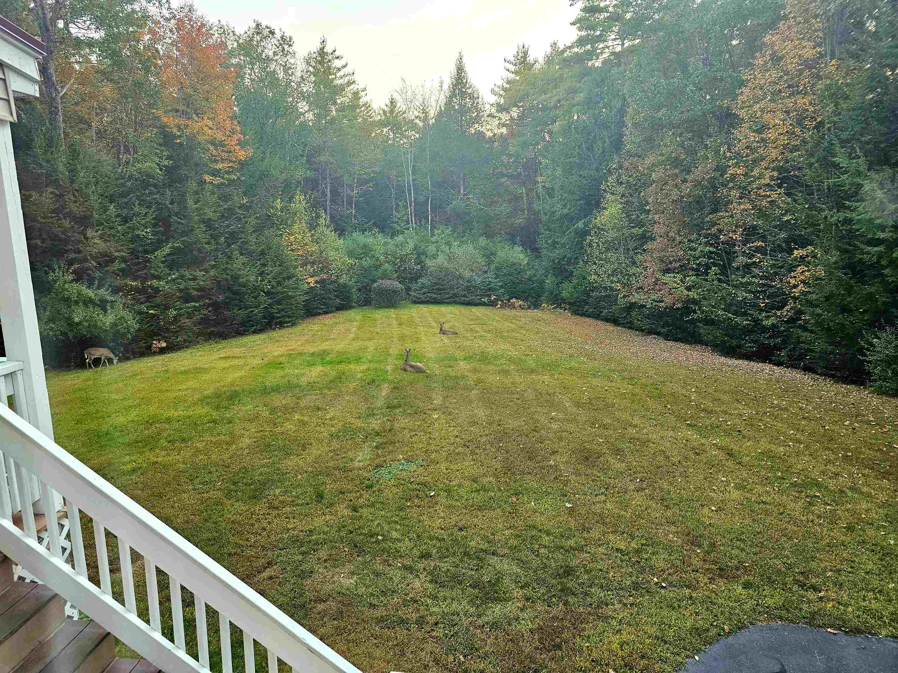 496 Loudon Rd, Pittsfield, NH 03263