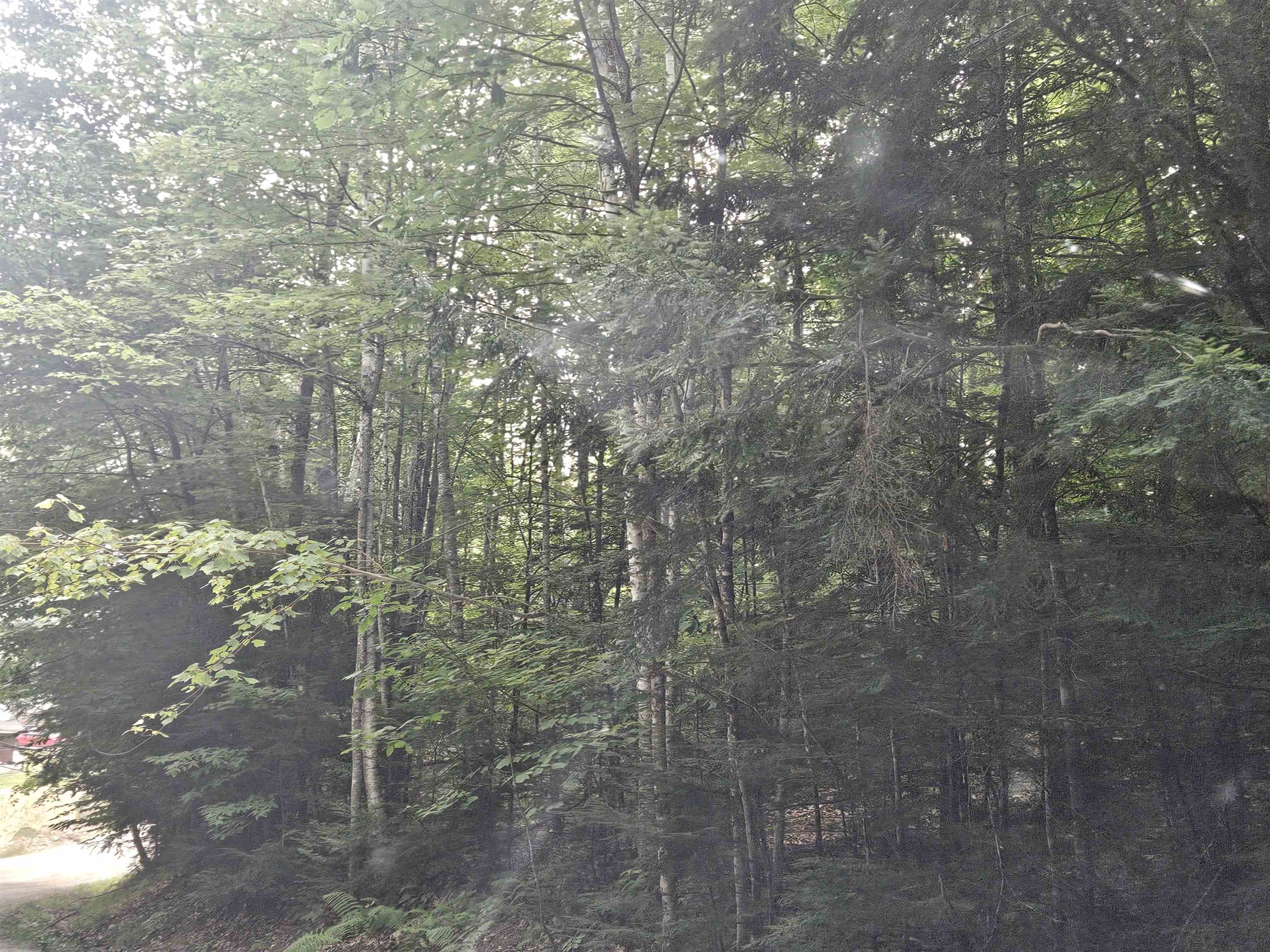 Lot 254 Kearsage Dr, Haverhill, NH 03765