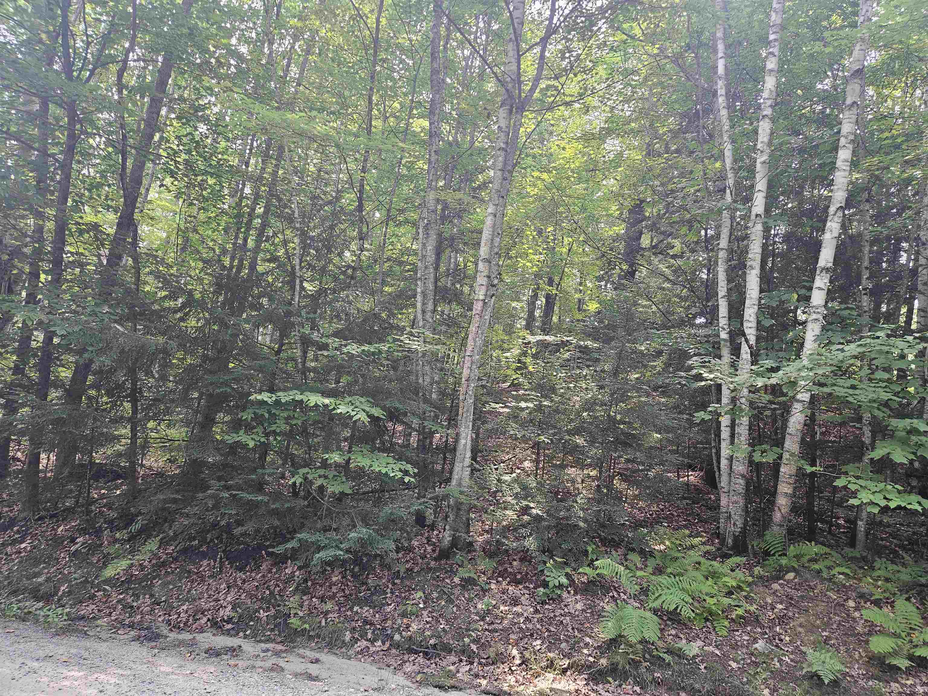 Lot 254 Kearsage Dr, Haverhill, NH 03765