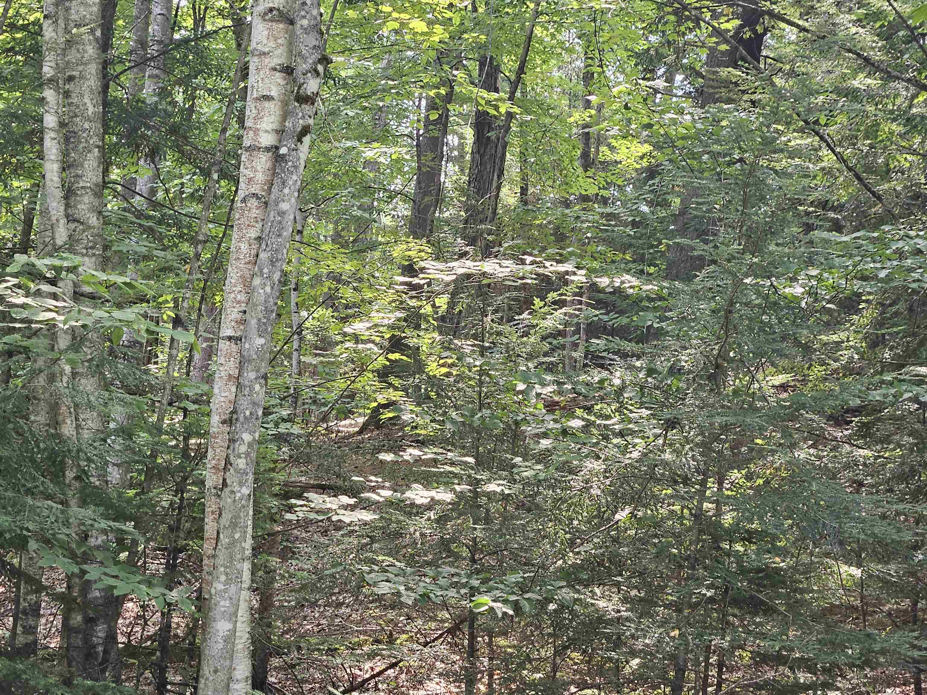 Lot 254 Kearsage Dr, Haverhill, NH 03765