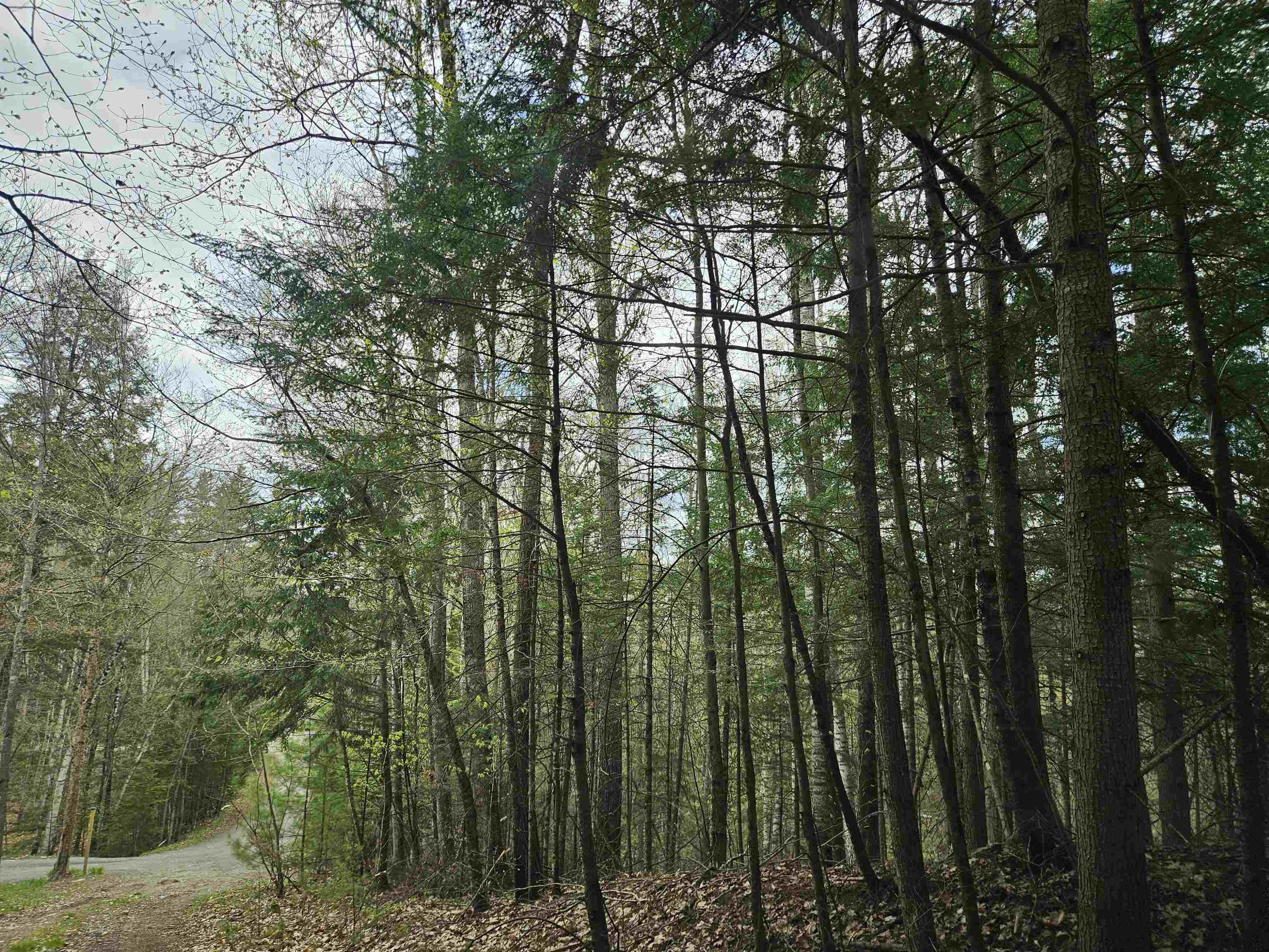Lot 265 King Dr, Haverhill, NH 03765