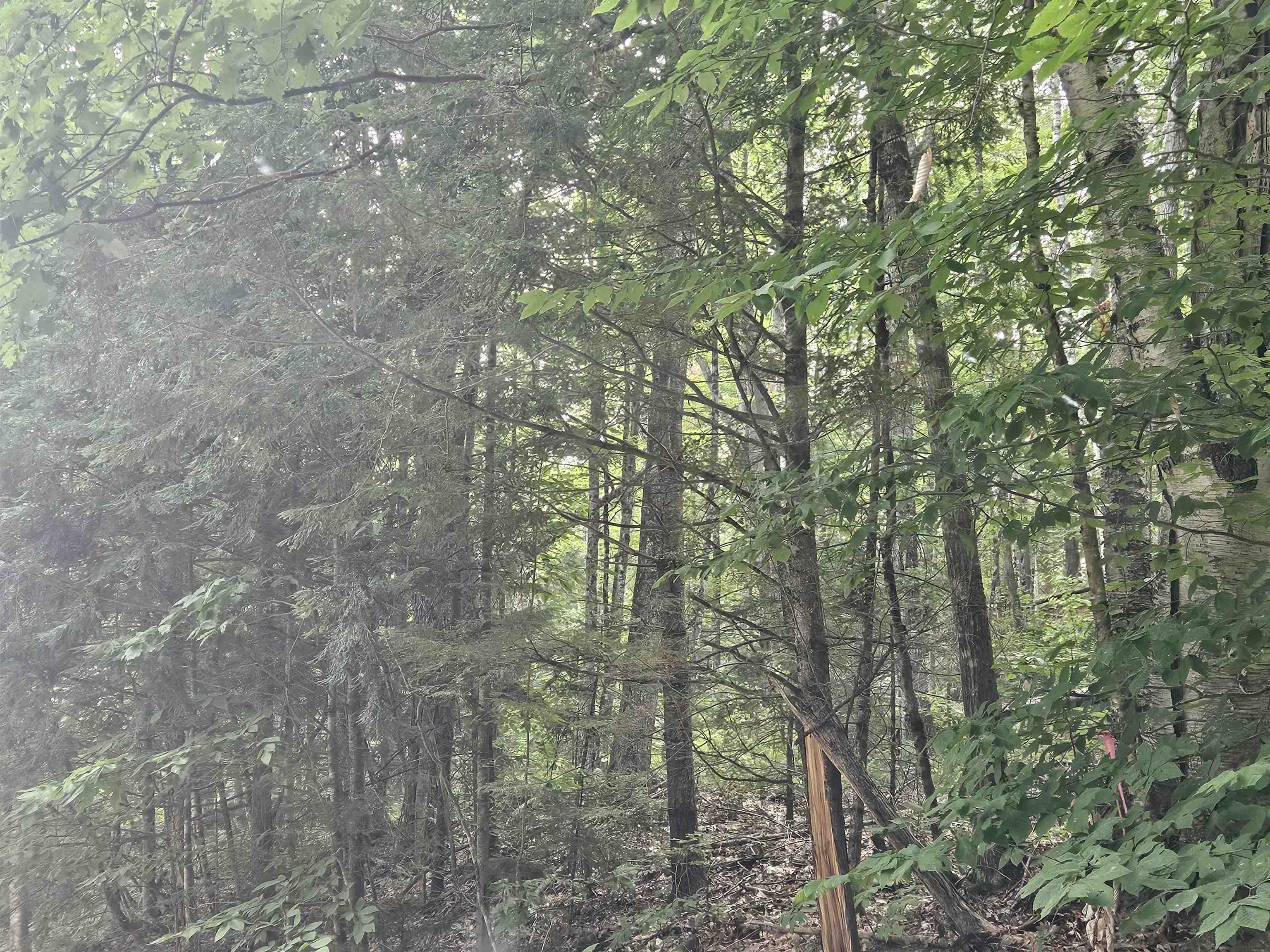 Lot 265 King Dr, Haverhill, NH 03765