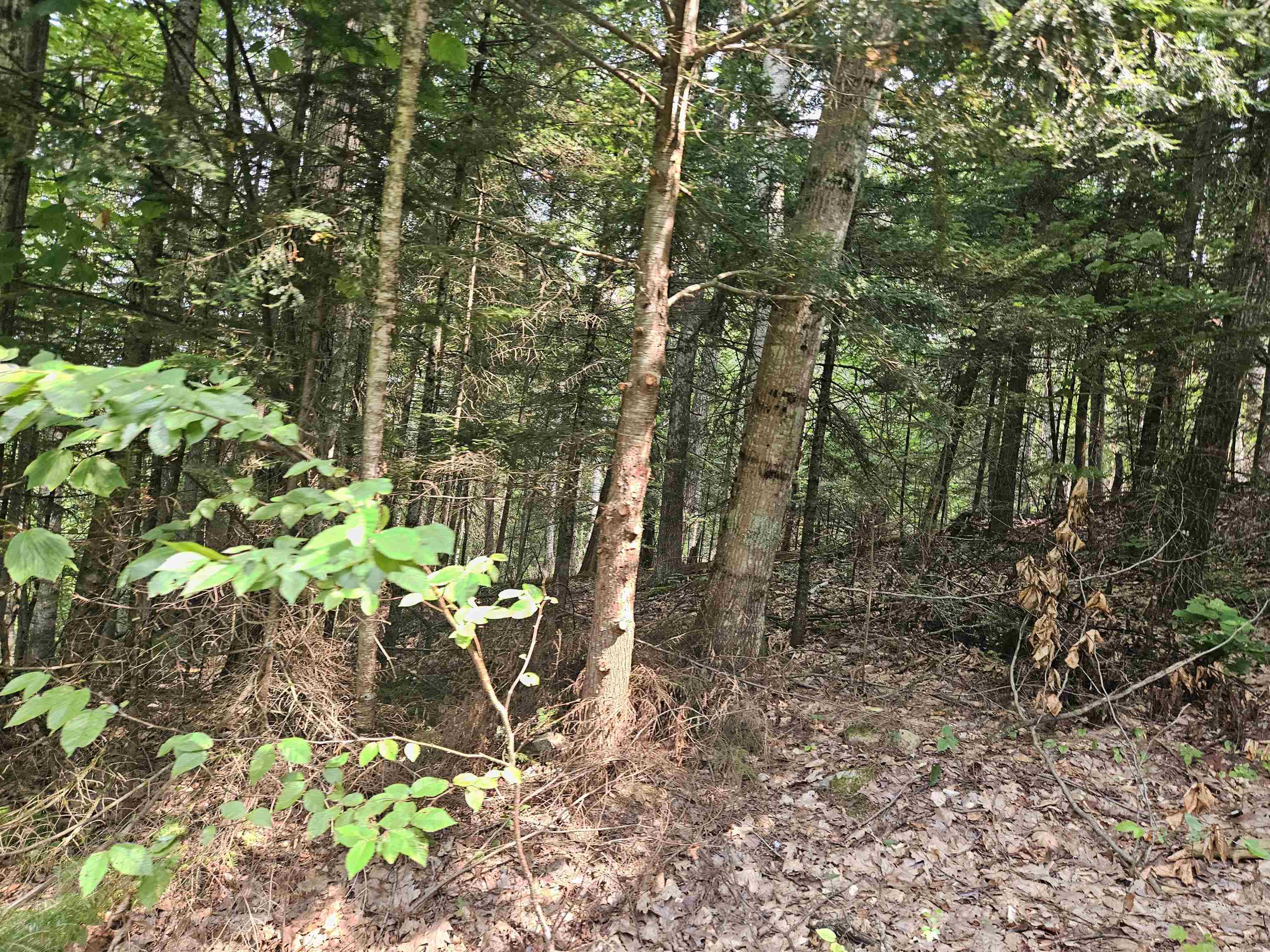 Lot 265 King Dr, Haverhill, NH 03765