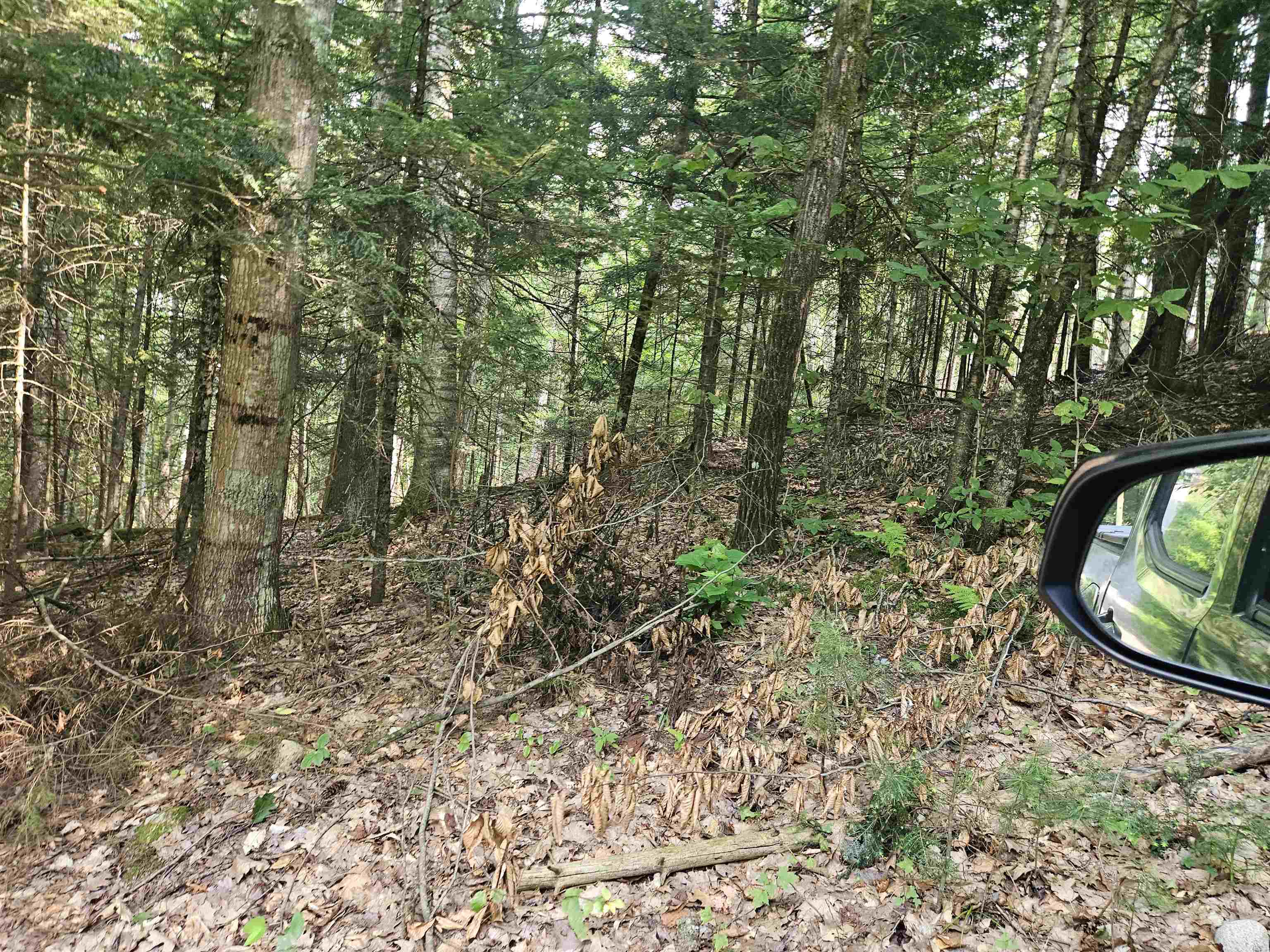 Lot 265 King Dr, Haverhill, NH 03765