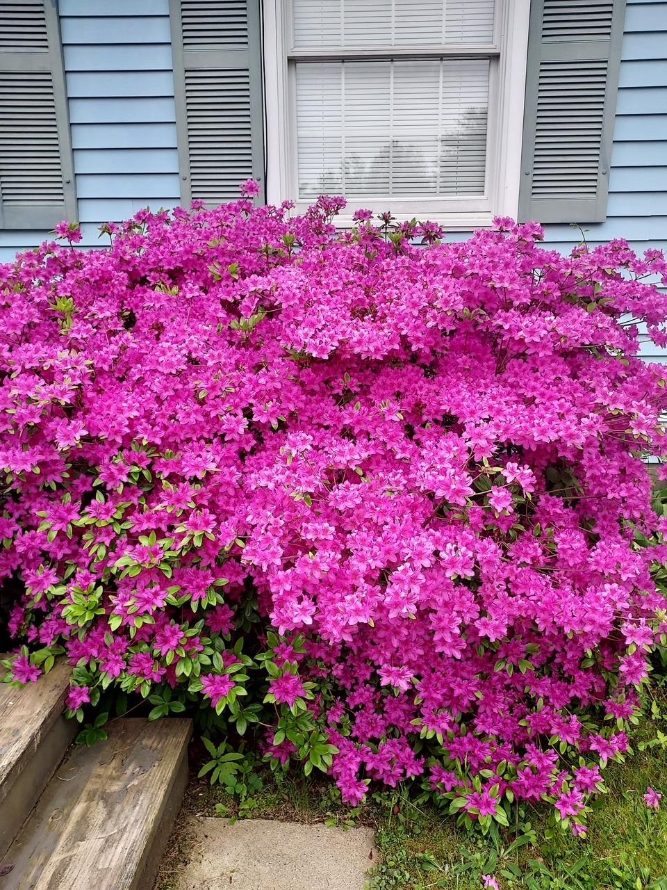 6 Marilyn Dr, Belmont, NH 03220