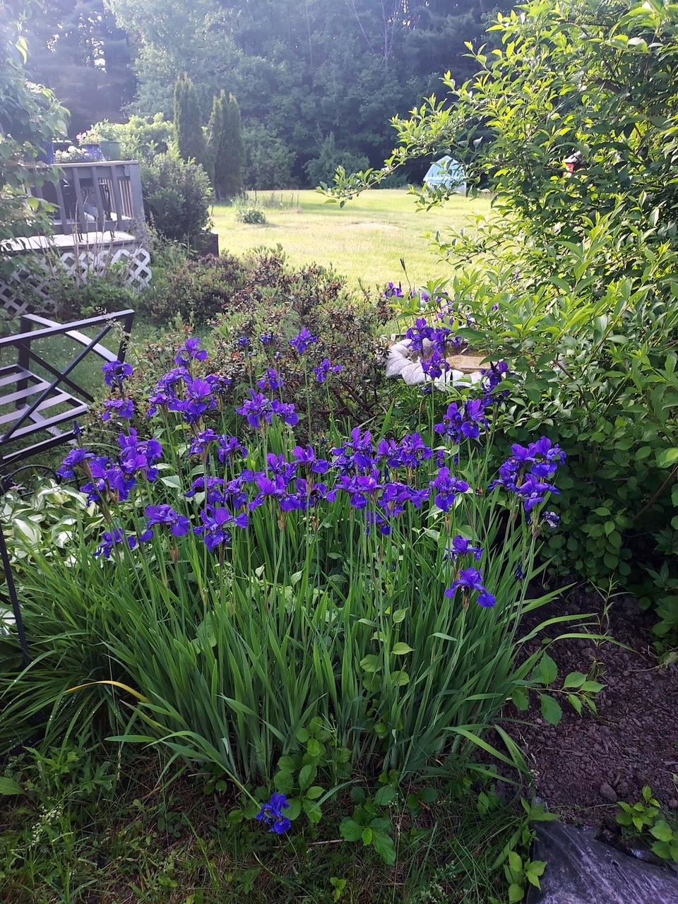 6 Marilyn Dr, Belmont, NH 03220