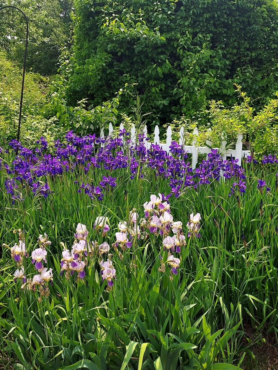 6 Marilyn Dr, Belmont, NH 03220