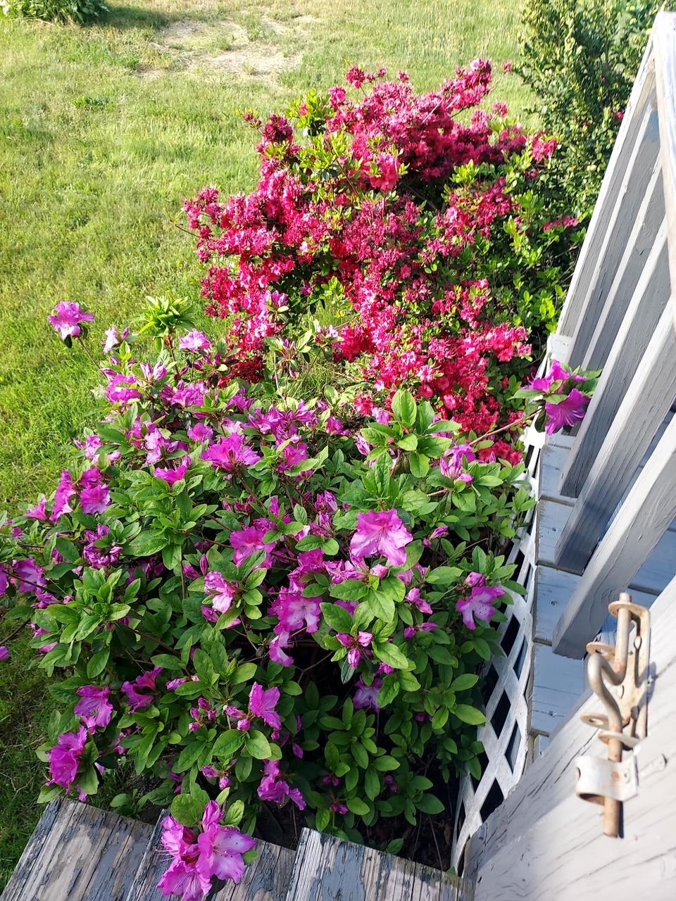 6 Marilyn Dr, Belmont, NH 03220