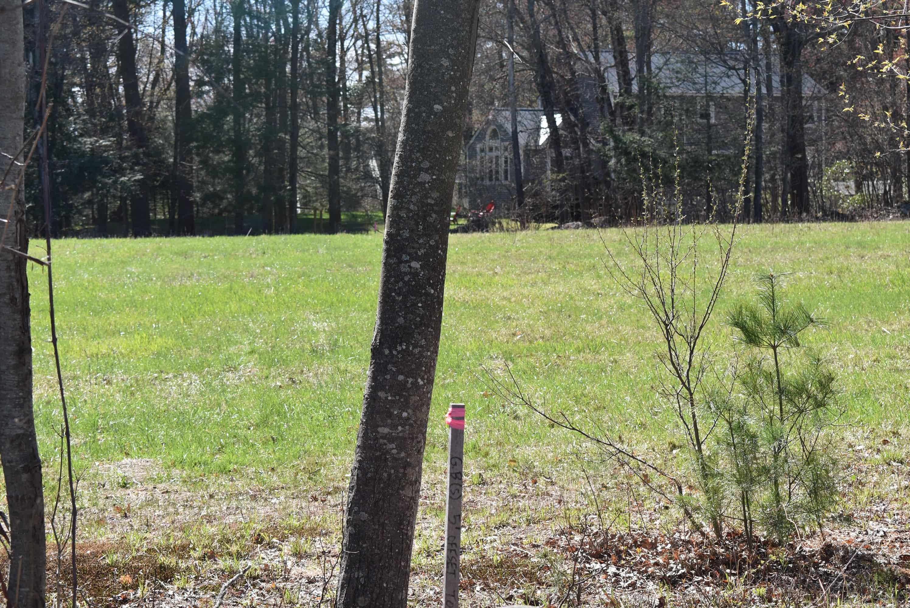 pink ribbon is property line