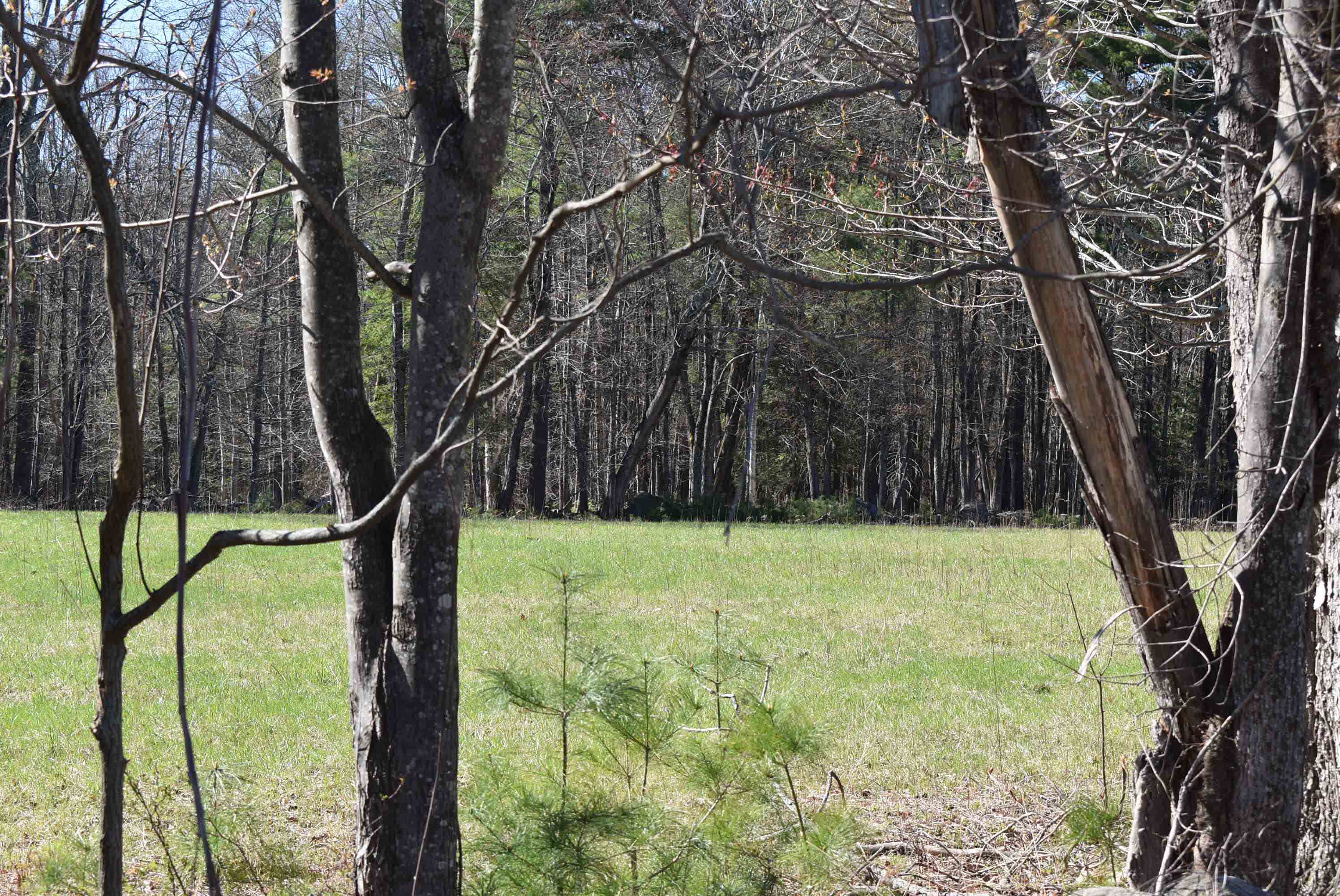 The other side is also marked