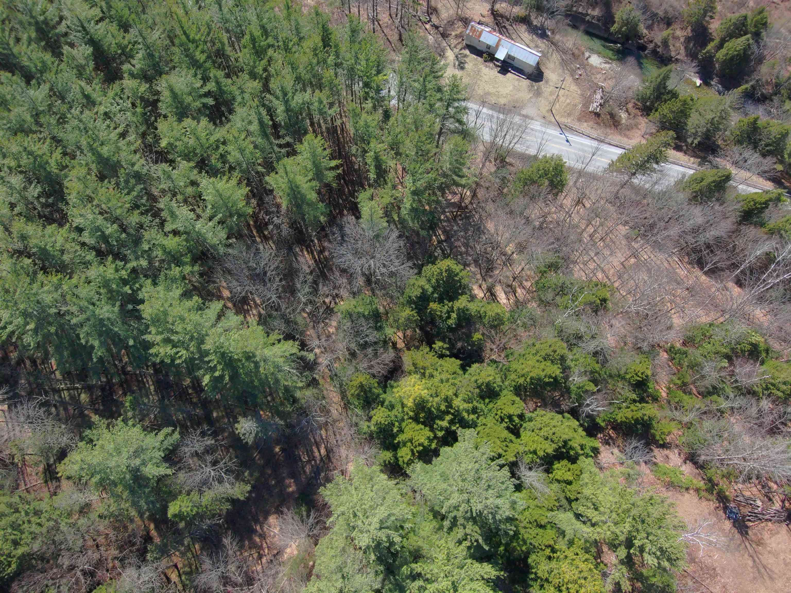 west boundary Rt 100