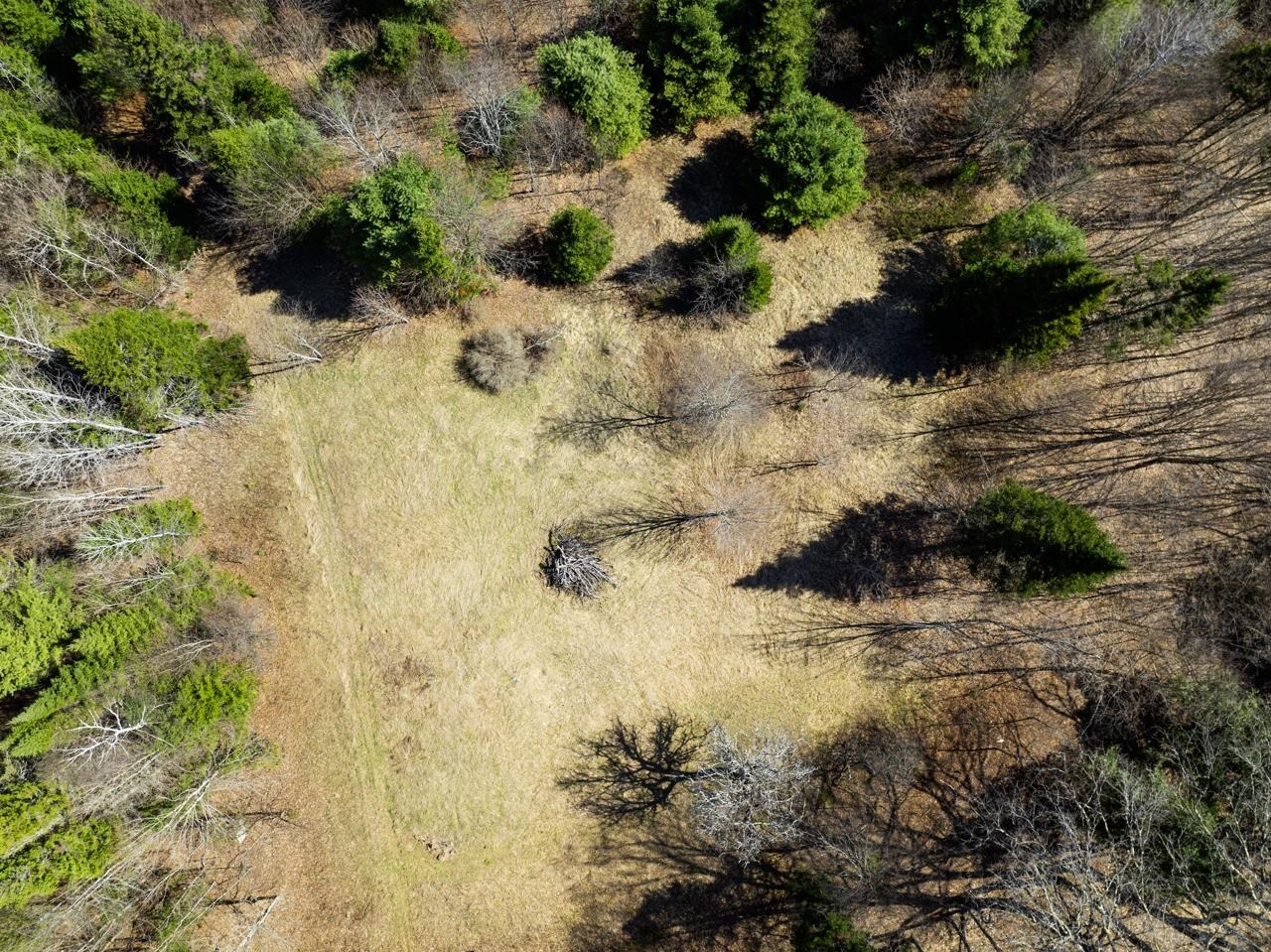 Hidden Upper 4BR House Site