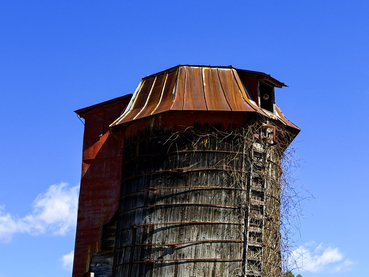 Carter Farm Silo Across From Driveway