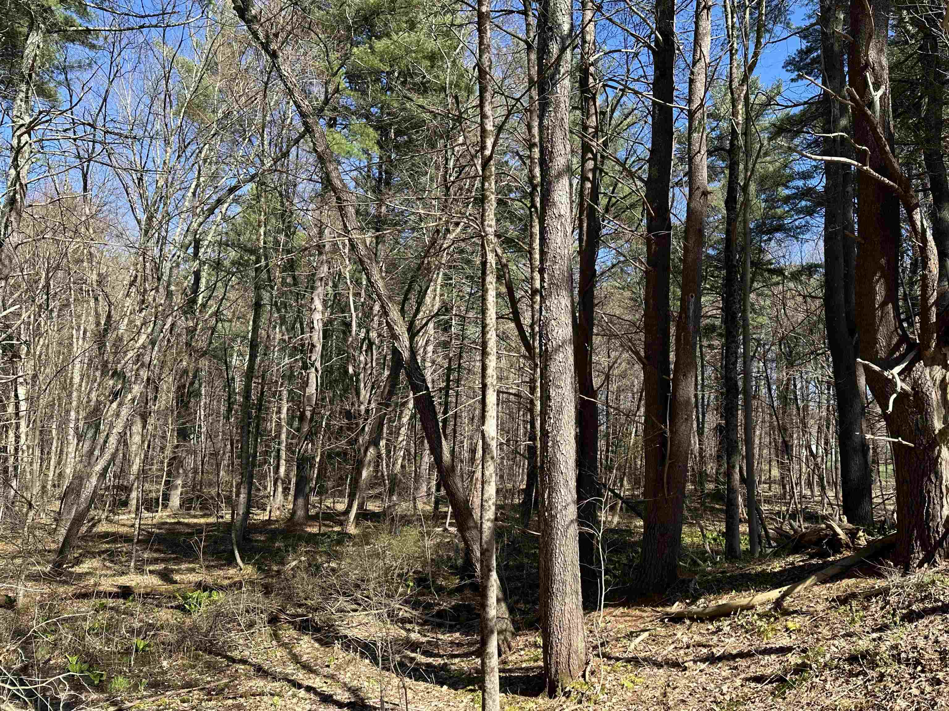 22 Hilliard Rd, Kensington, NH 03833