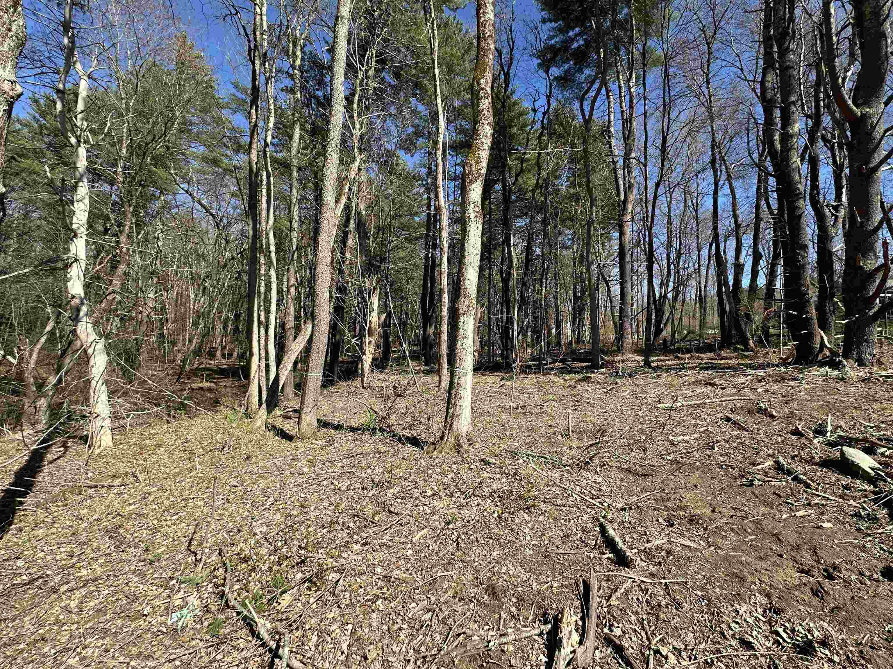 Lot 11-46B Hilliard Rd, Kensington, NH 03833-5516