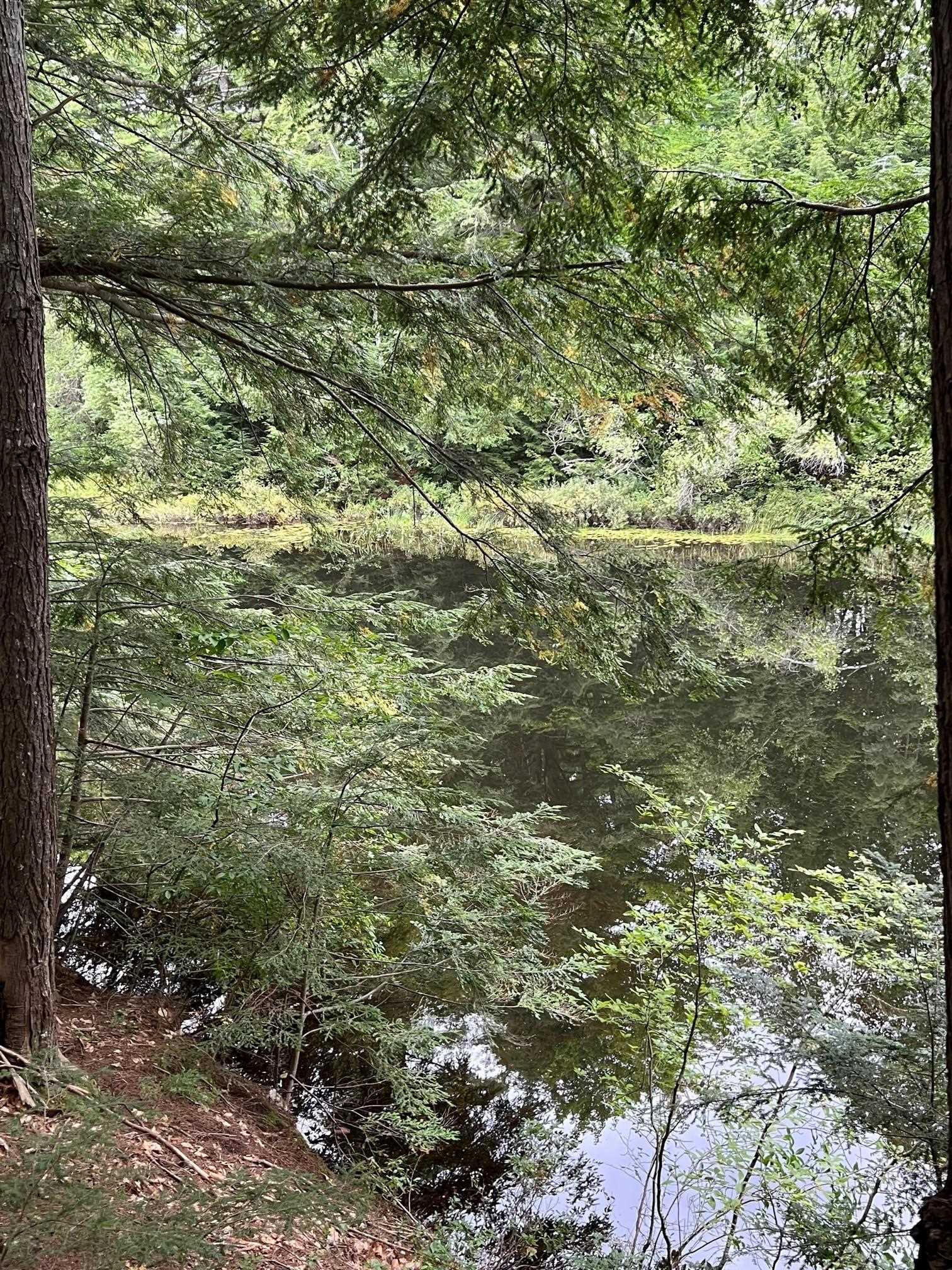 14 Little Loop Rd, Madison, NH 03849