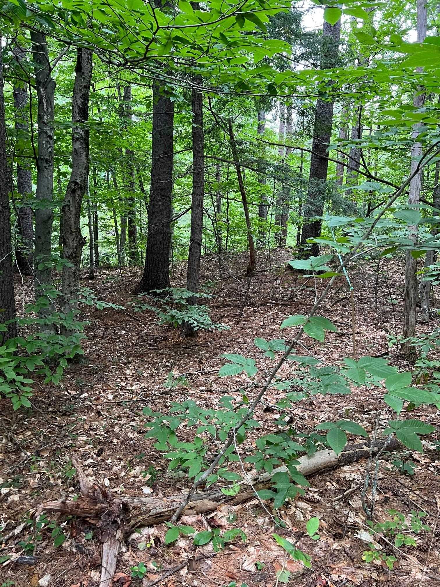 14 Little Loop Rd, Madison, NH 03849