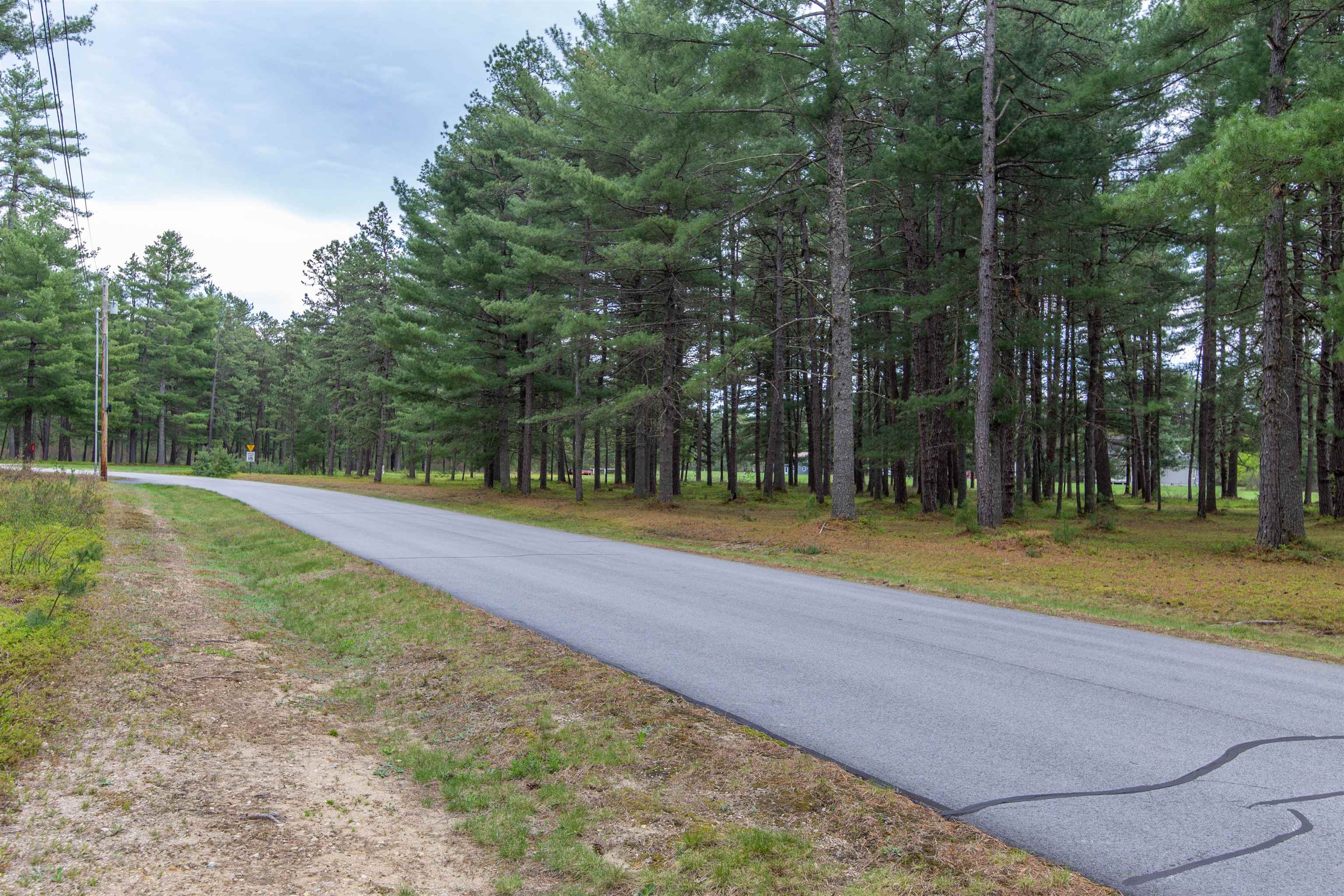 See the runway through the trees