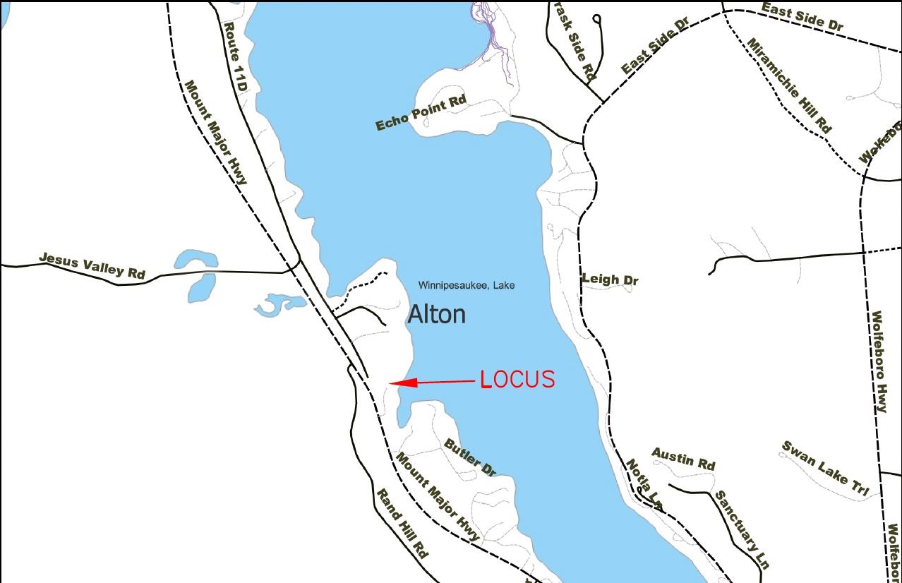 20 Boat Cove Rd, Alton, NH 03810