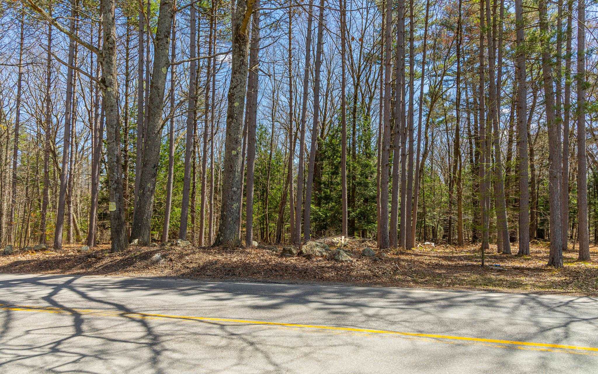 00 Forest Rd, Alstead, NH 03602