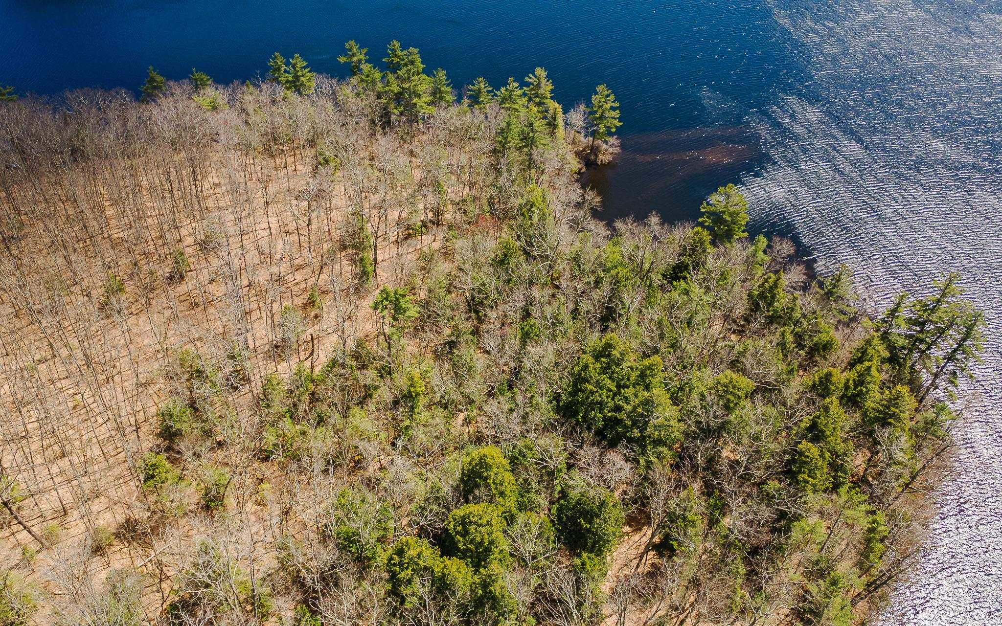 00 Forest Rd, Alstead, NH 03602