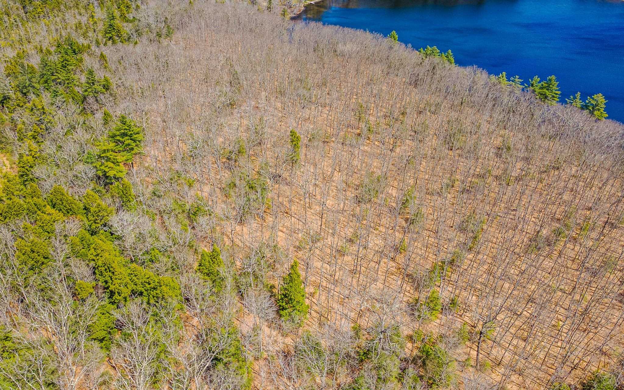 00 Forest Rd, Alstead, NH 03602