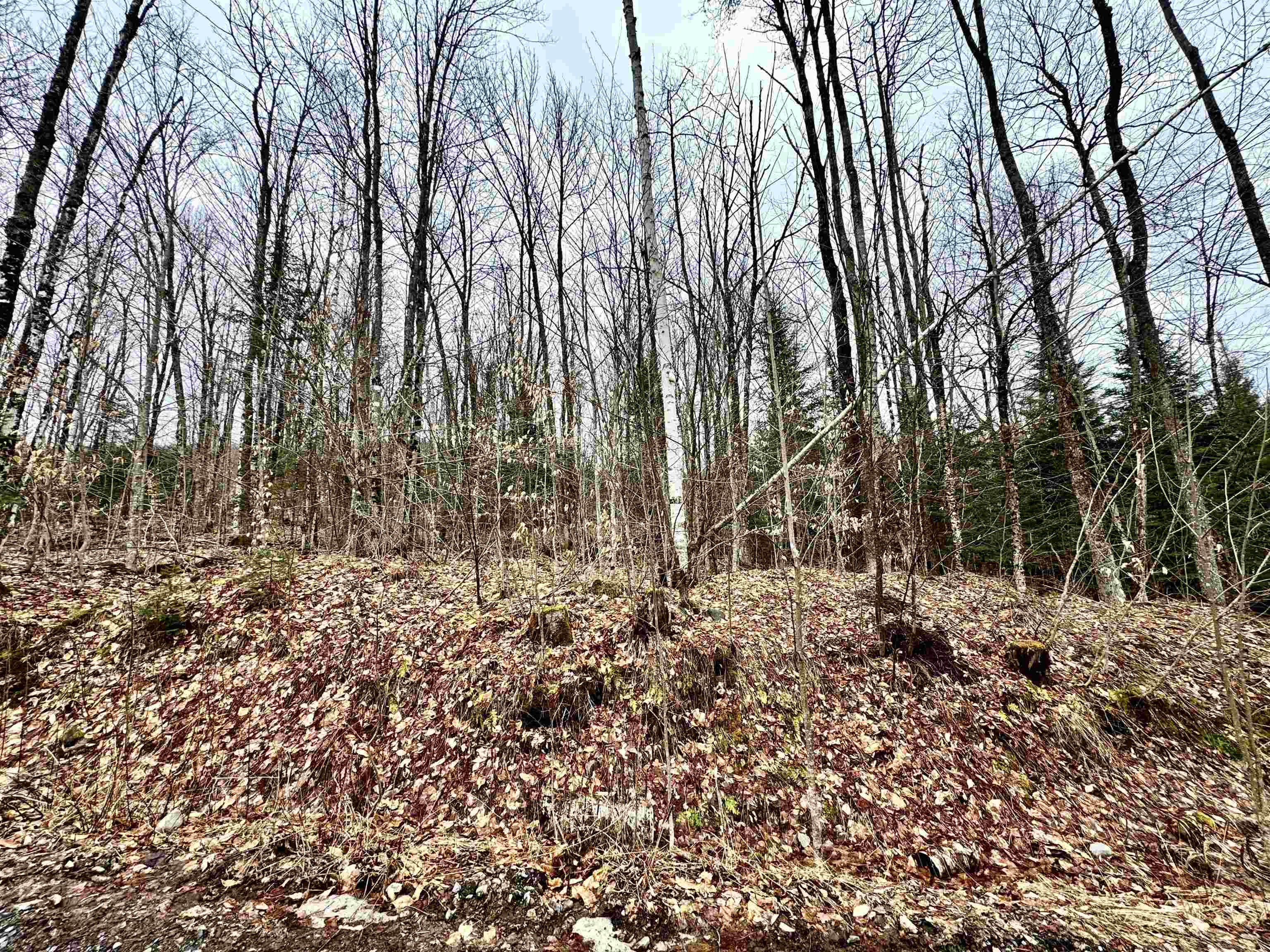 253 Washburn Rd, Columbia, NH 03576