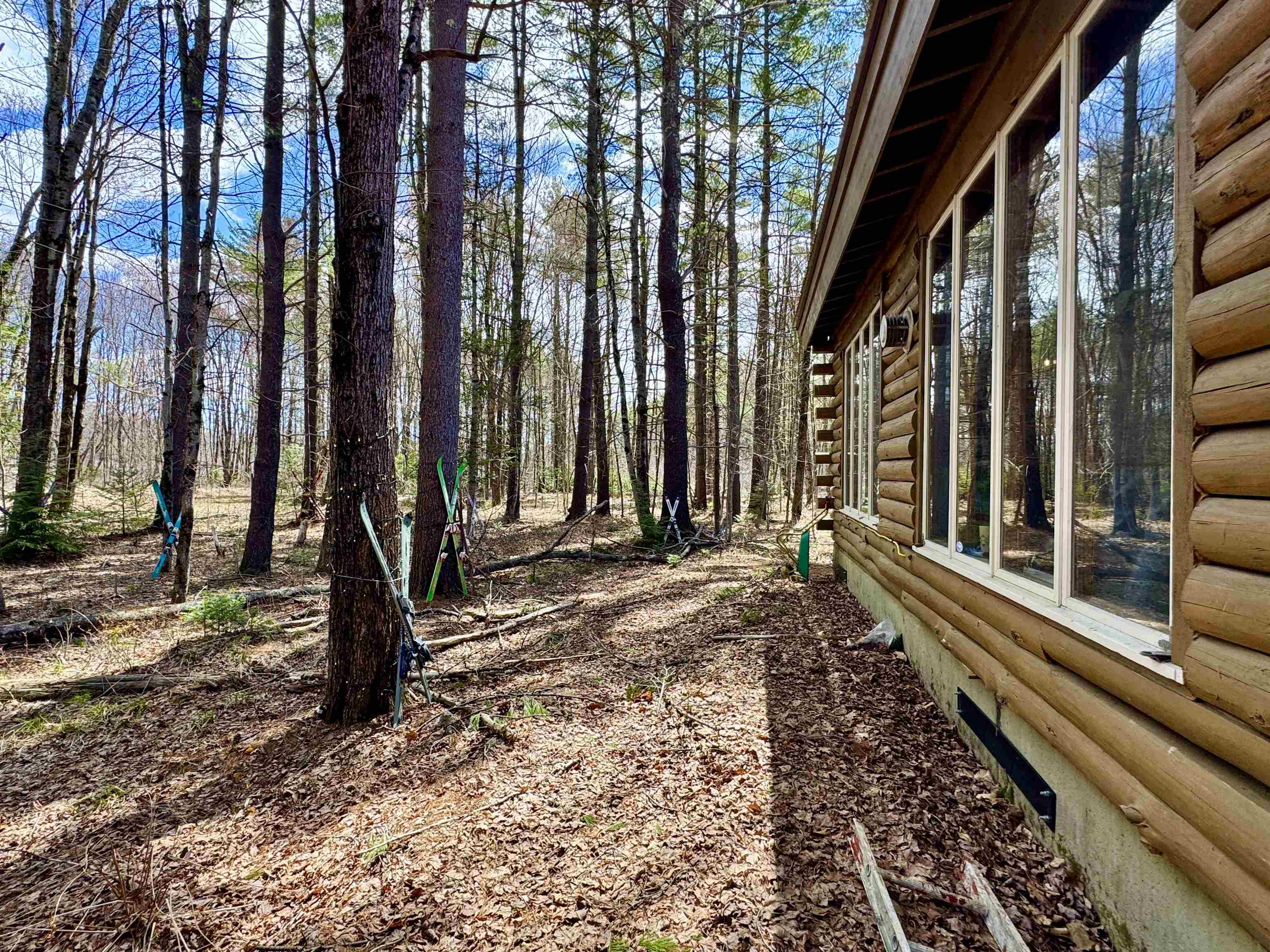 Rear of cabin