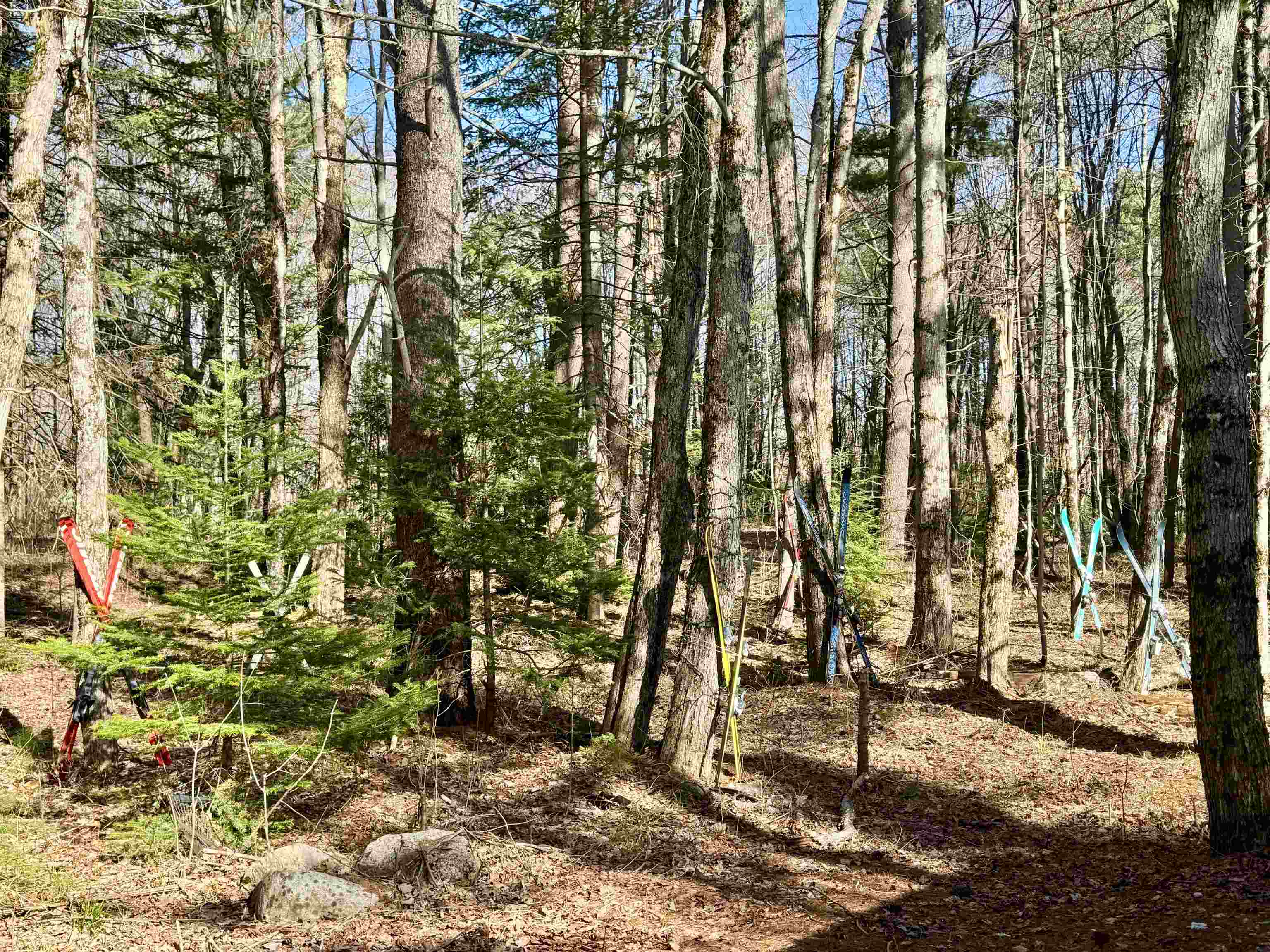 6 acres of nature behind you