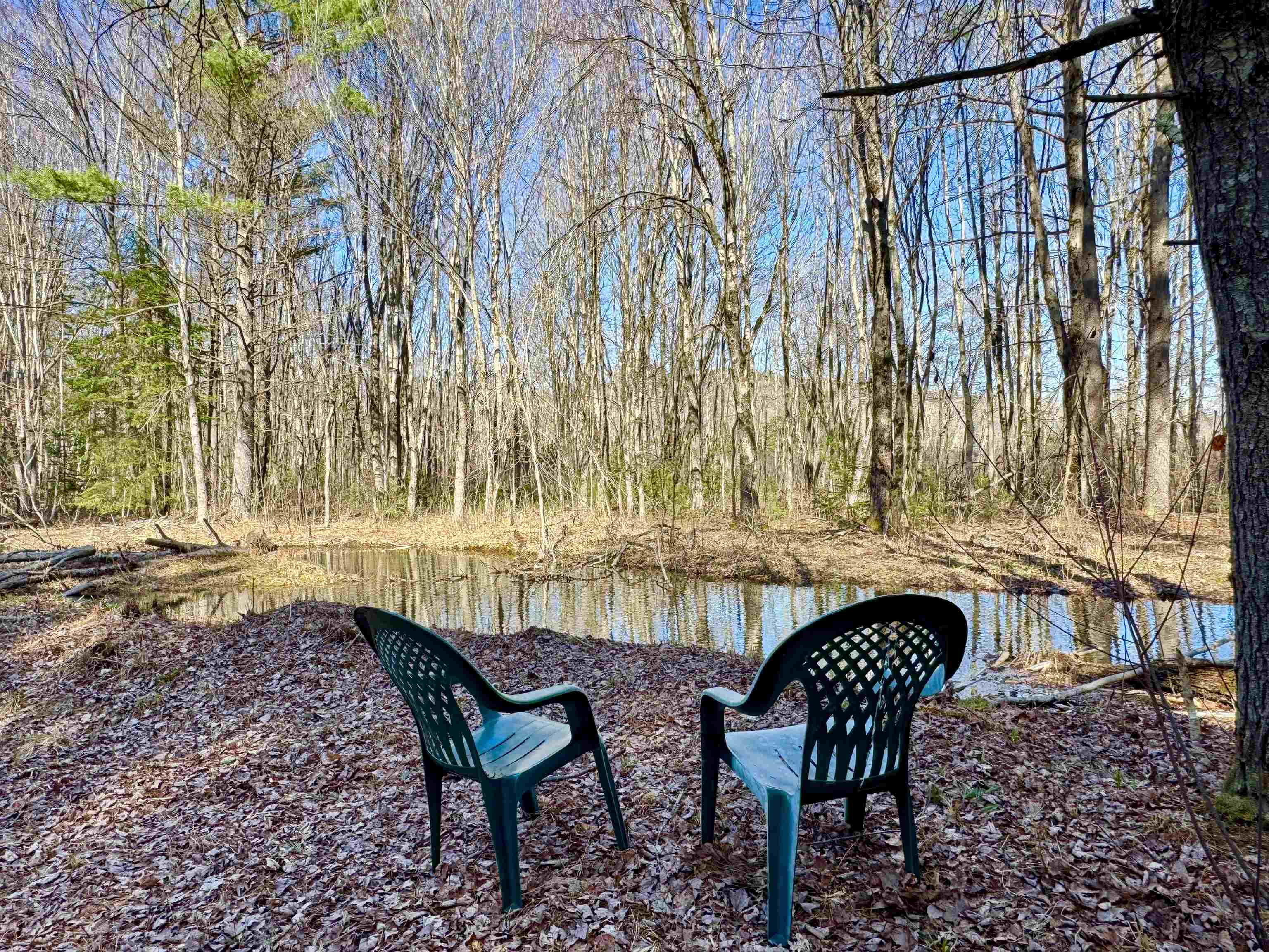 Stream/Brook runs in back