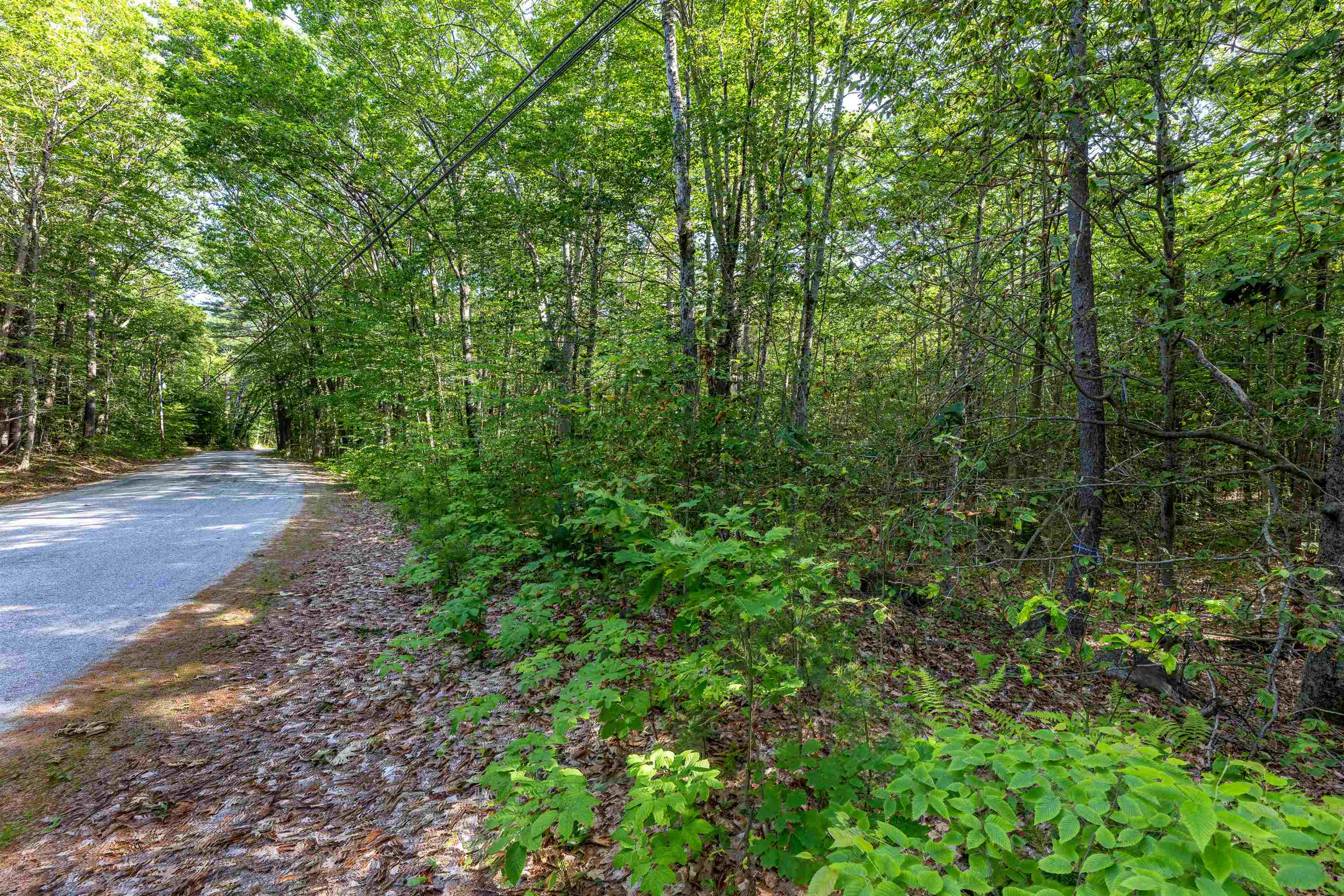 Lot 29.1 South Rd, Hopkinton, NH 03229