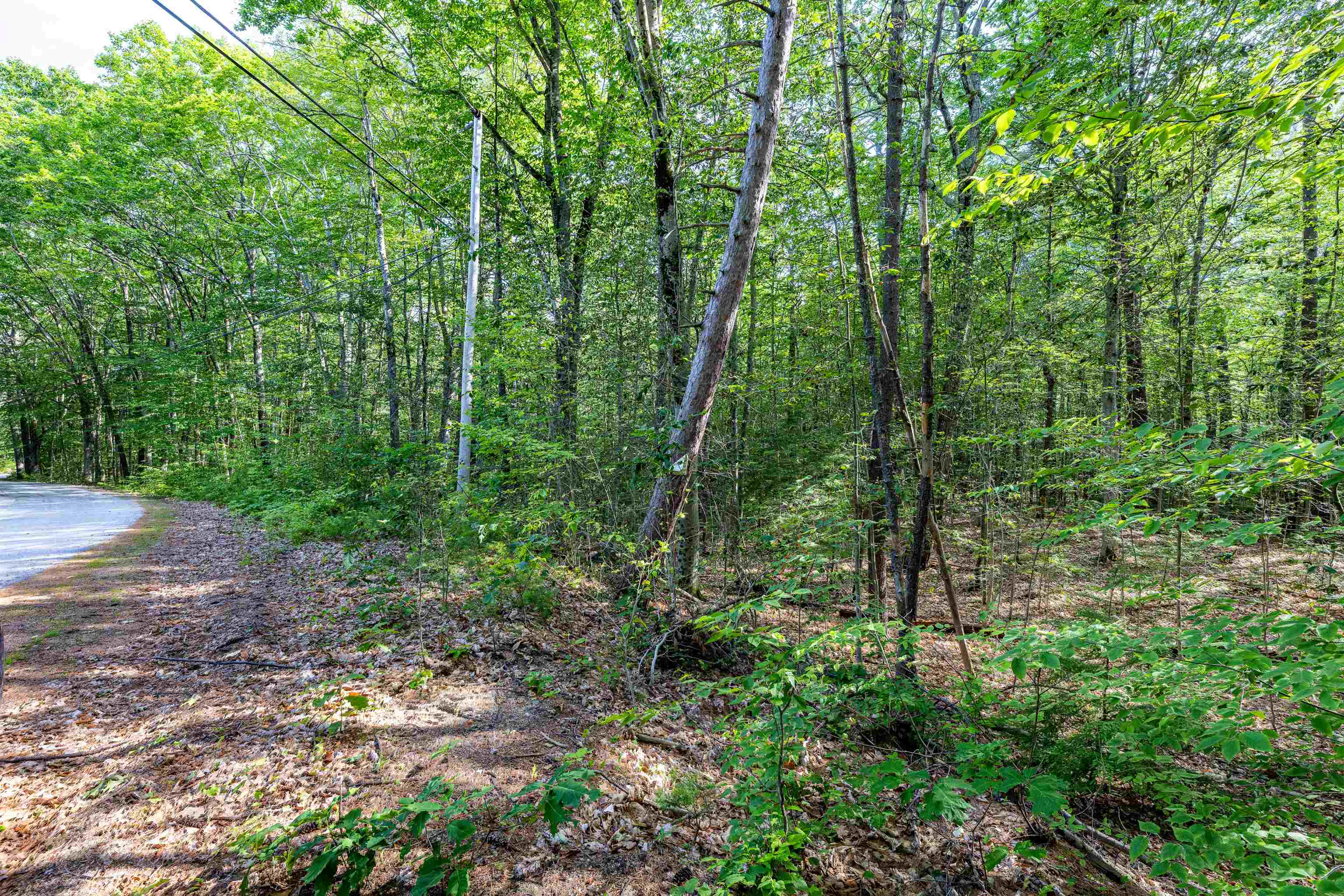 Lot 29.1 South Rd, Hopkinton, NH 03229