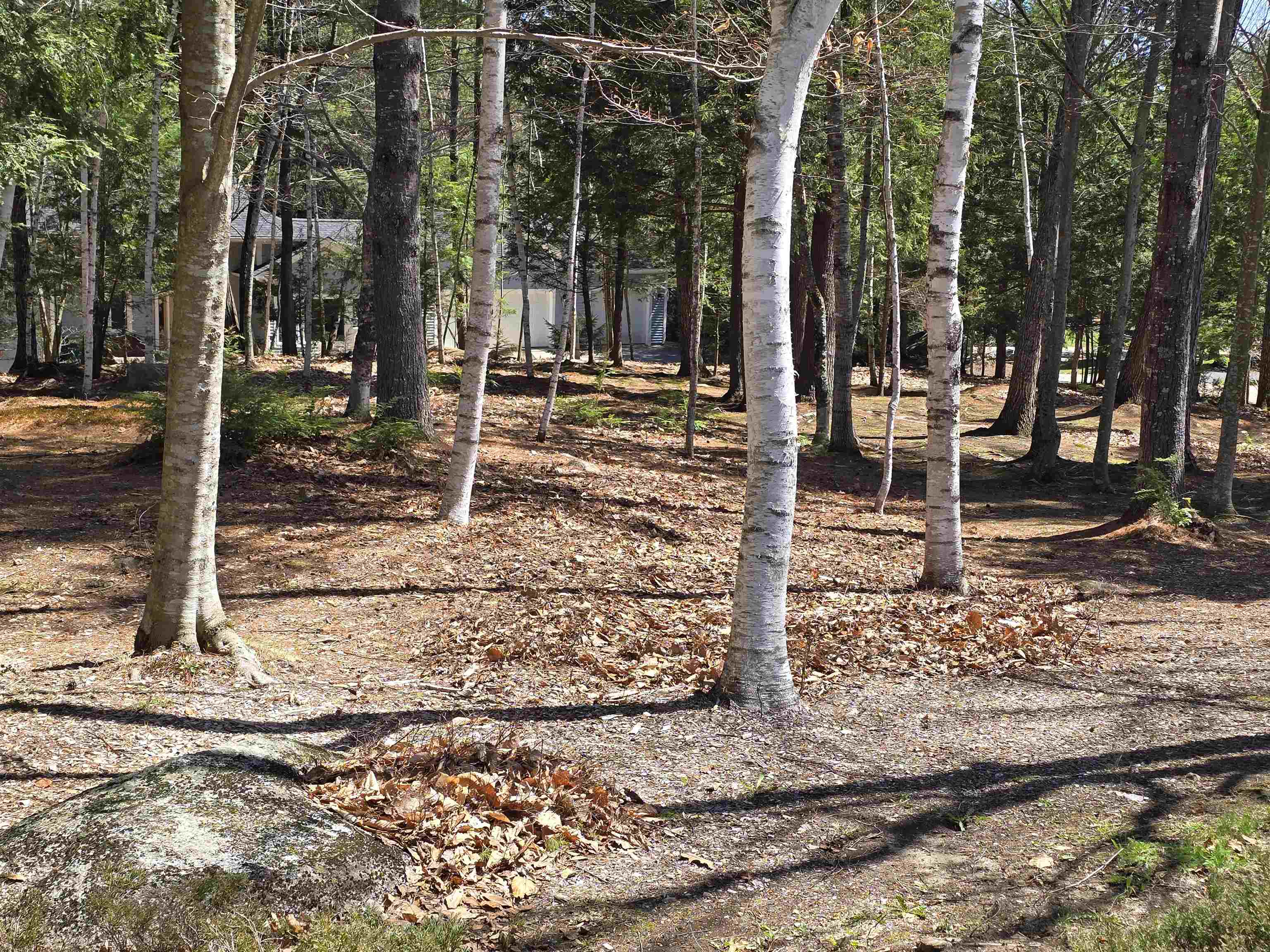 22 - 12 Moat Ln, Hales Location, NH 03860