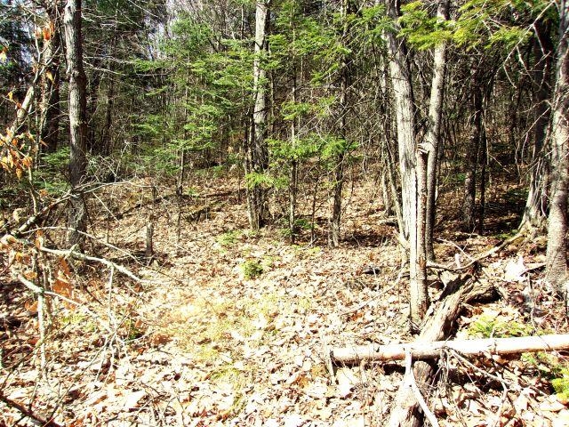 0 French Pond Rd, Haverhill, NH 03785