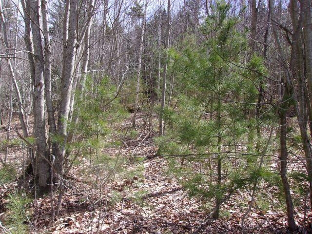 0 Swiftwater Cir, Haverhill, NH 03785