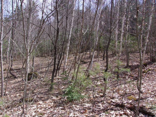 0 Swiftwater Cir, Haverhill, NH 03785