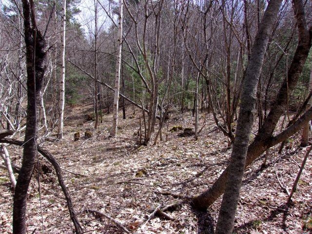 Swiftwater Cir, Haverhill, NH 03785