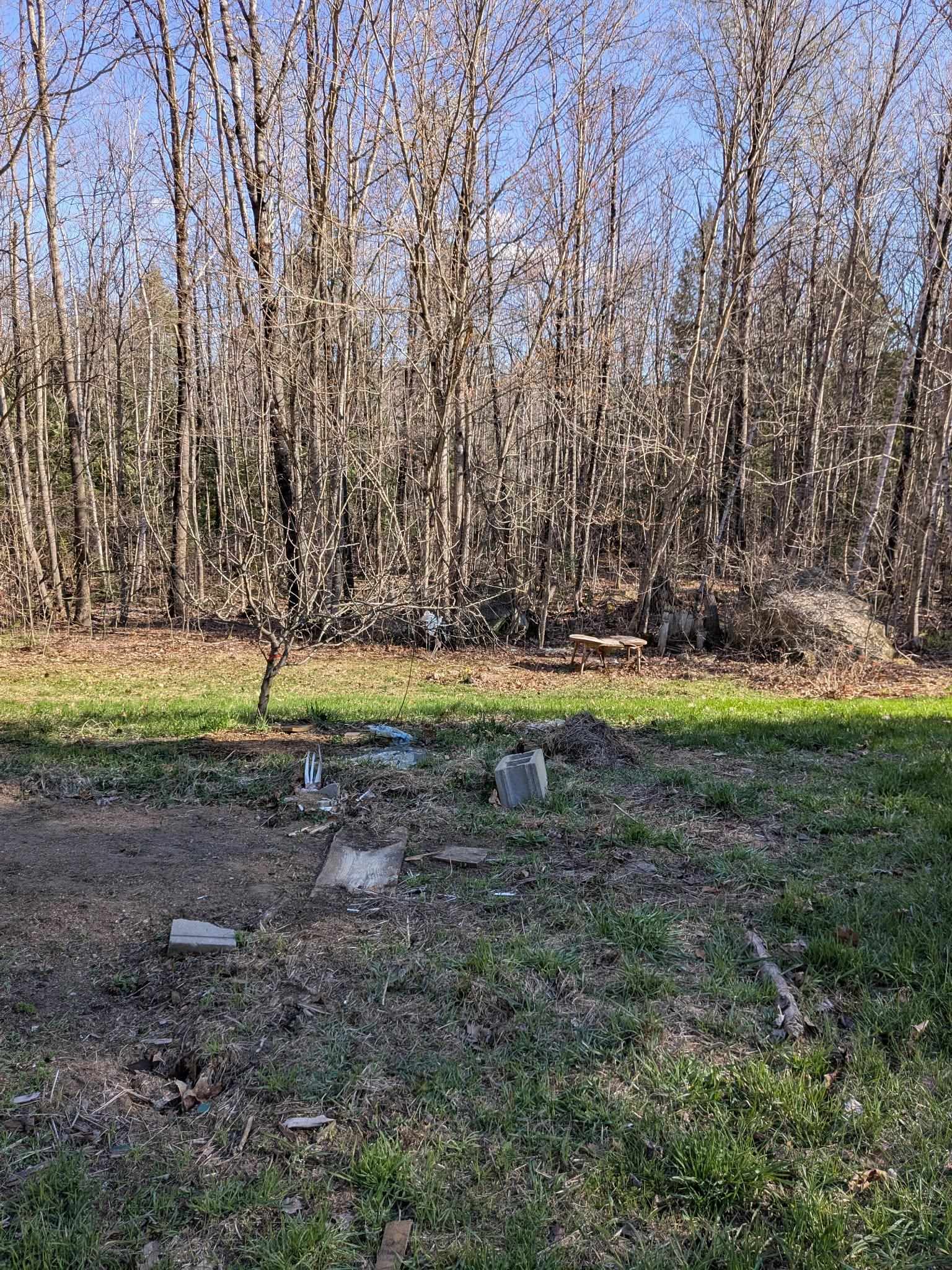 19 Easy Ave, Albany, NH 03818