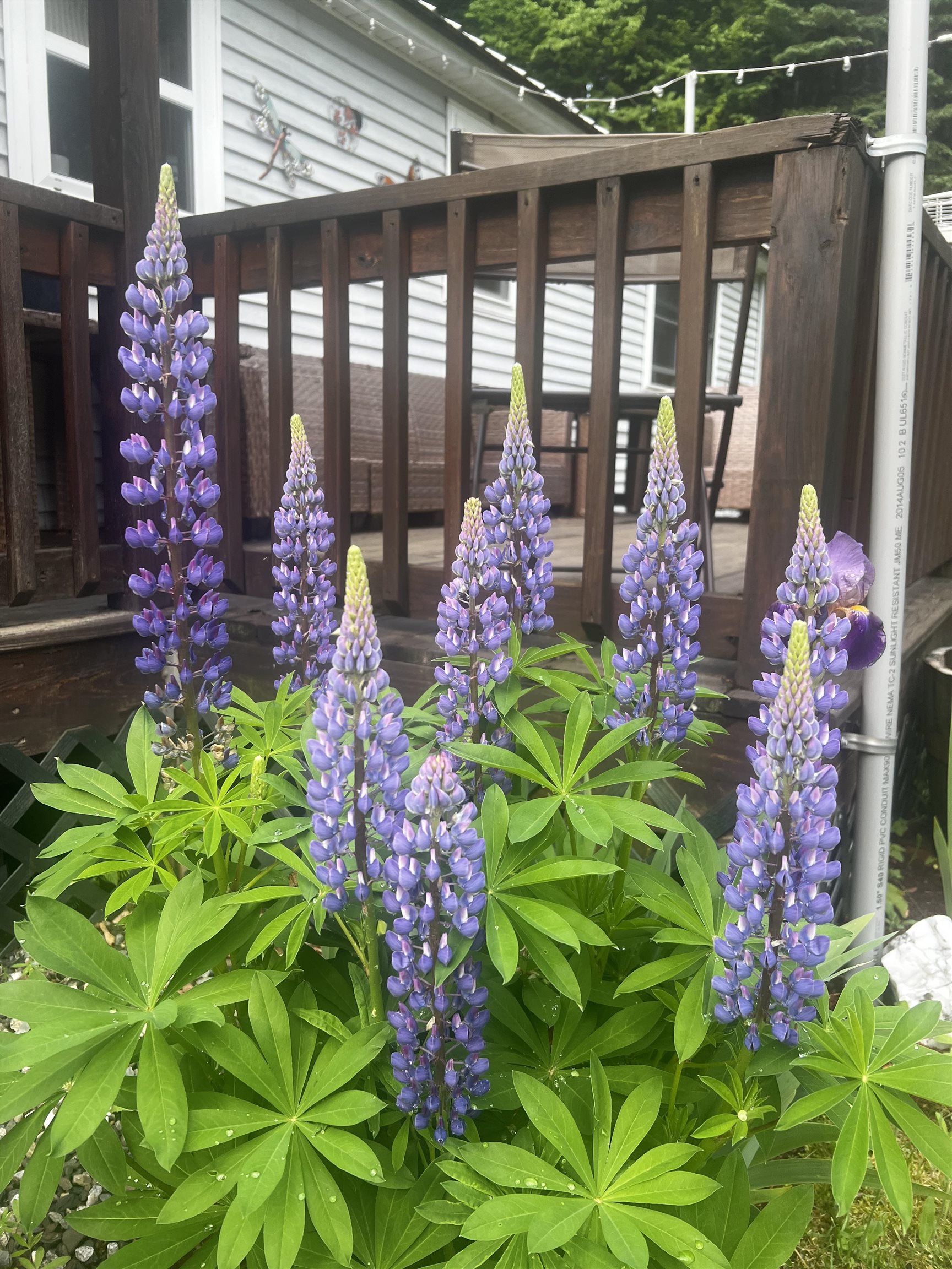 87 Sullivan Dr, Stewartstown, NH 03576