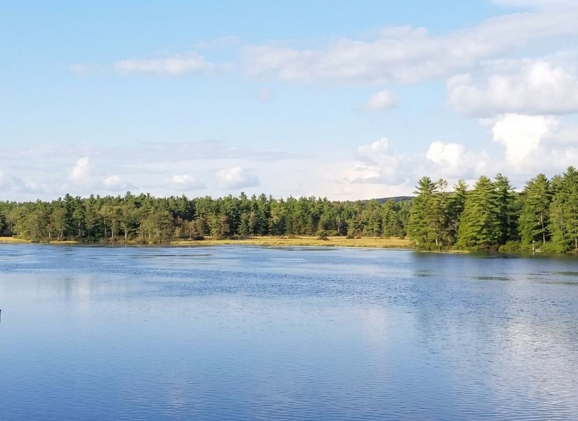 Lot 14 Northeast Pond Rd, Milton, NH 03851