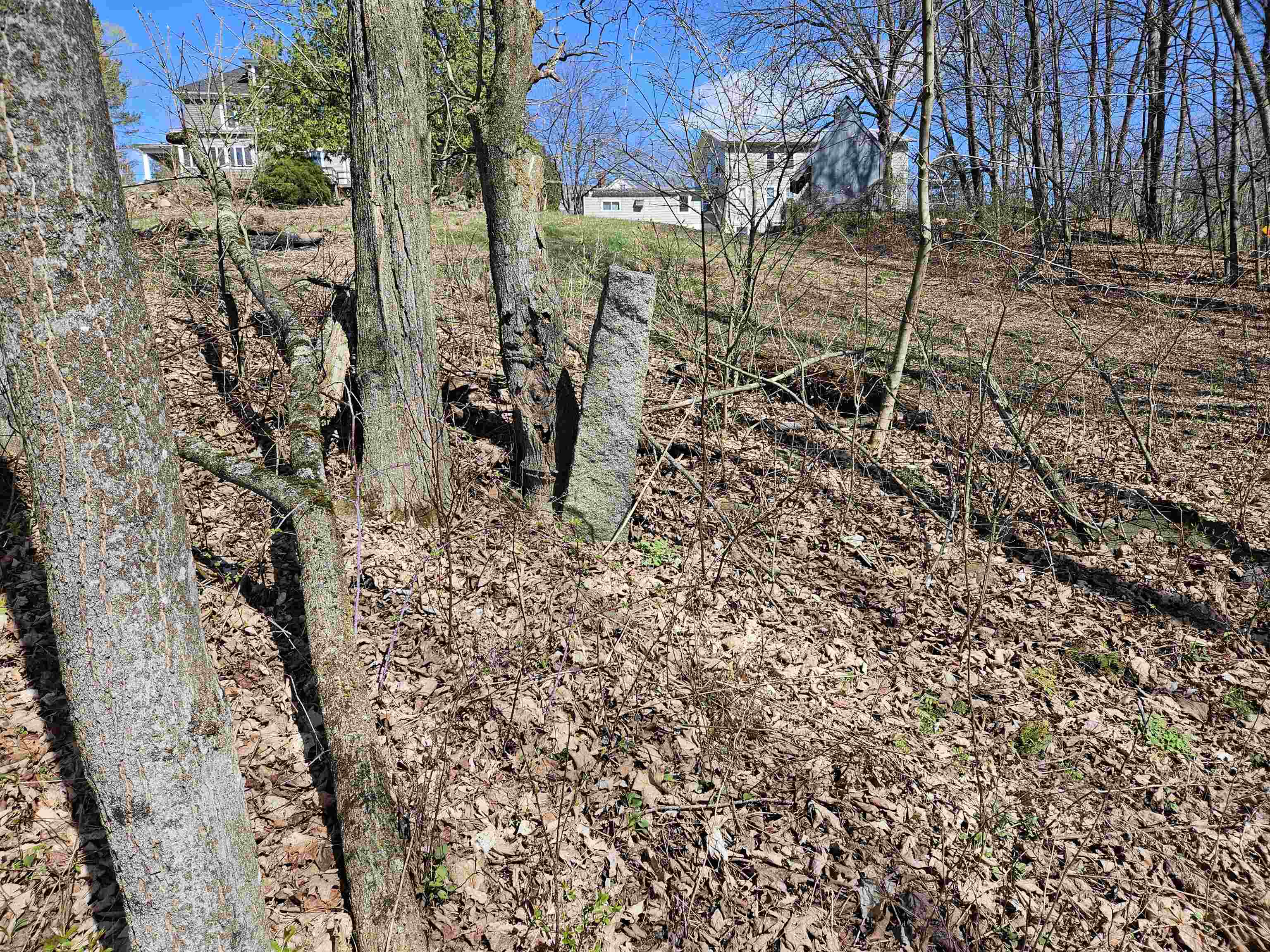 Granite pillar at edge of propertty to the East.