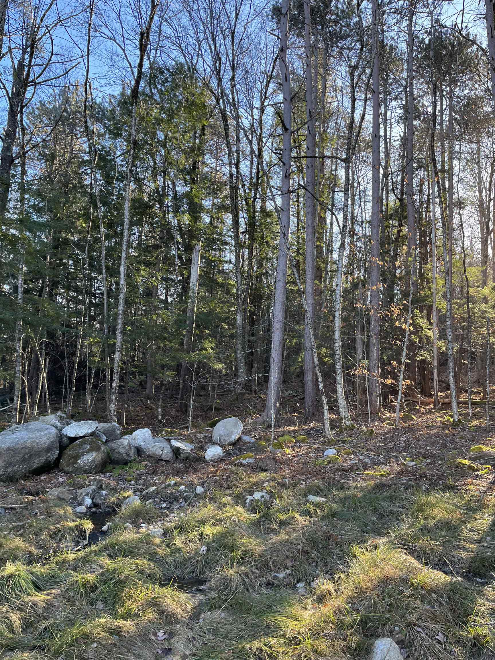 11 Raccoon Hill Rd, Salisbury, NH 03268