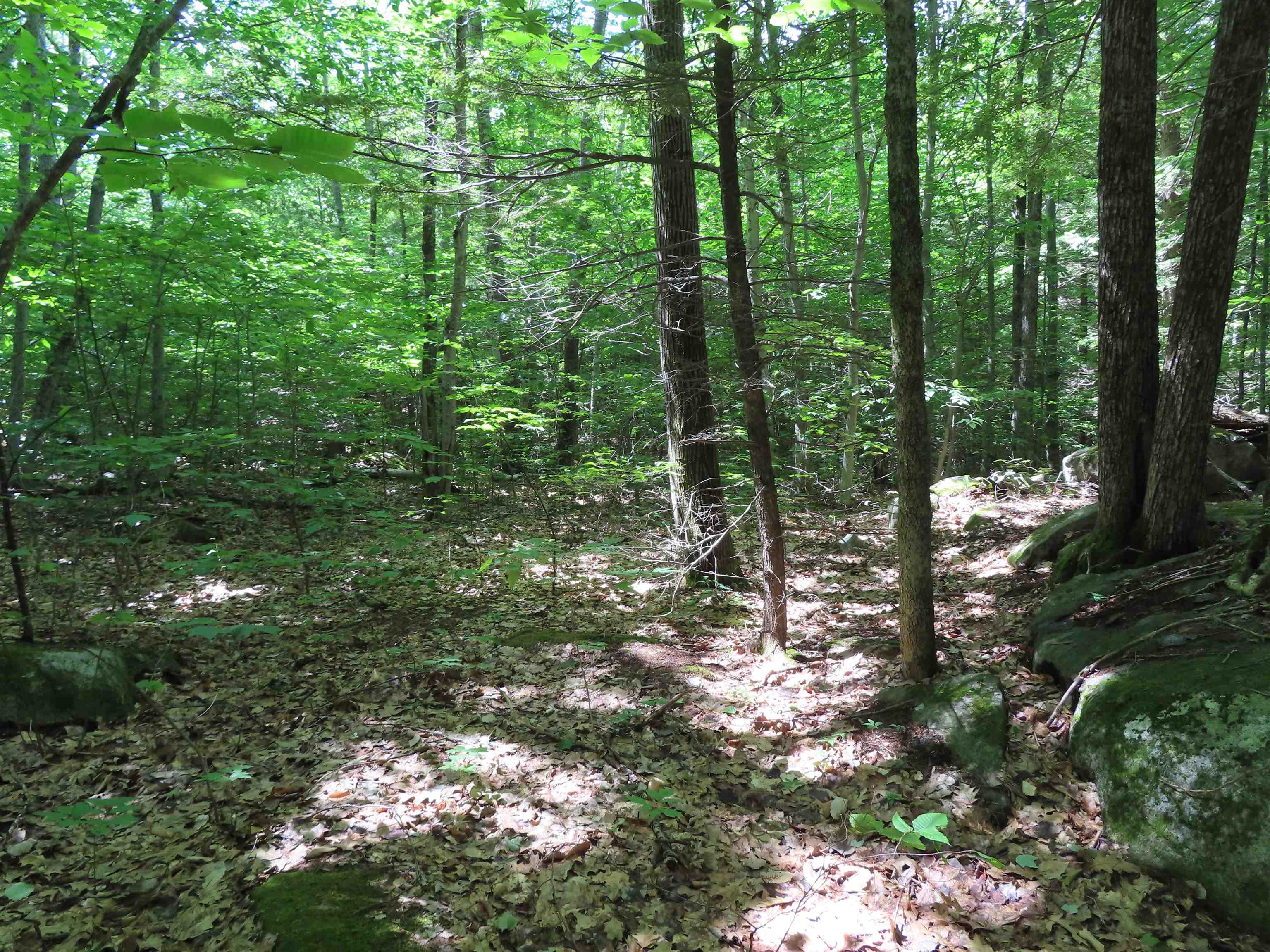 Lots 134-135 Wendy Dr, Alton, NH 03810