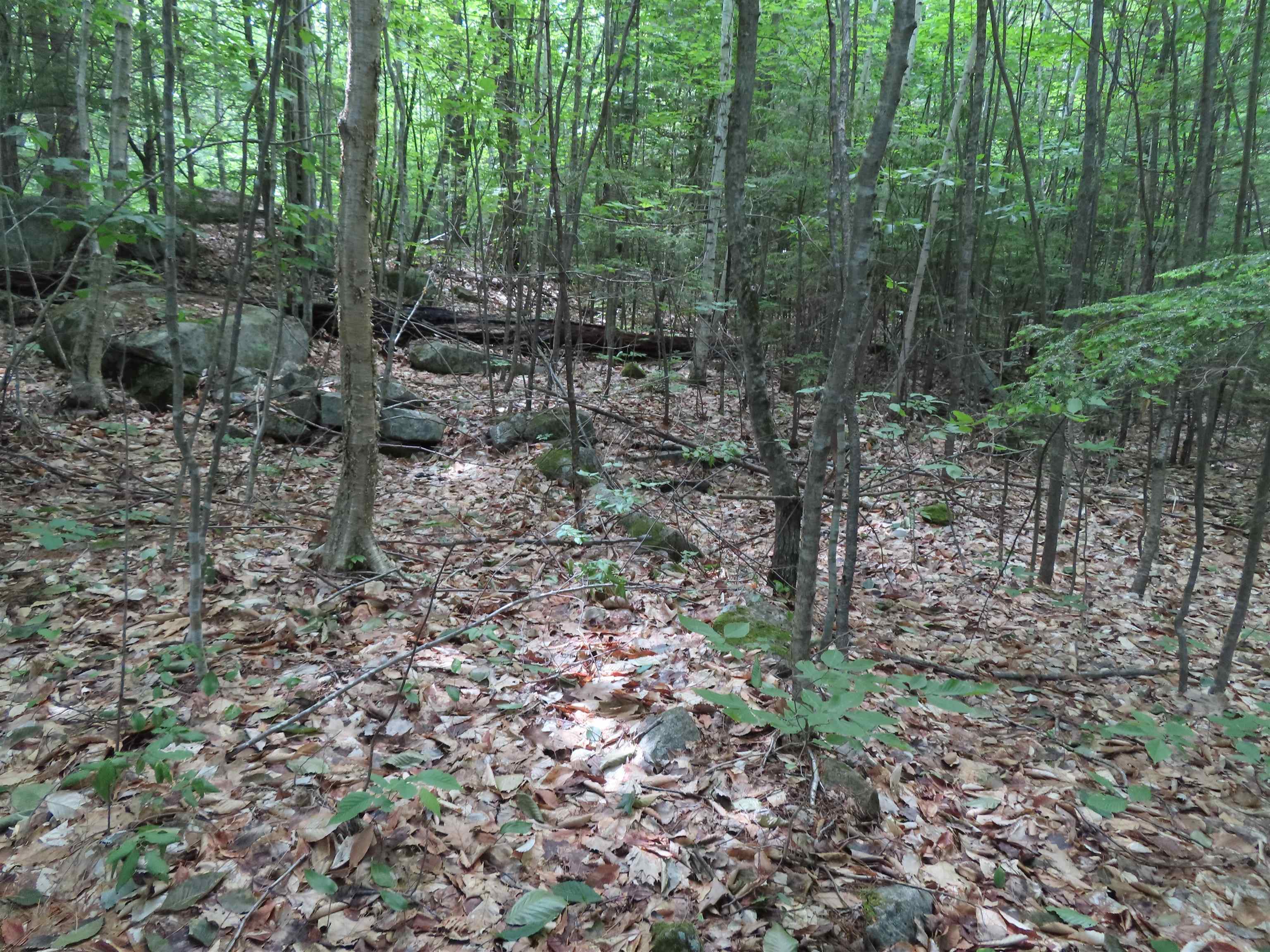 Lots 134-135 Wendy Dr, Alton, NH 03810